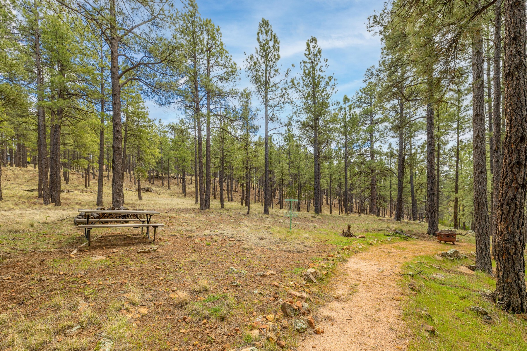  1426 N Edgewood Street¦Flagstaff, AZ - 物件實景