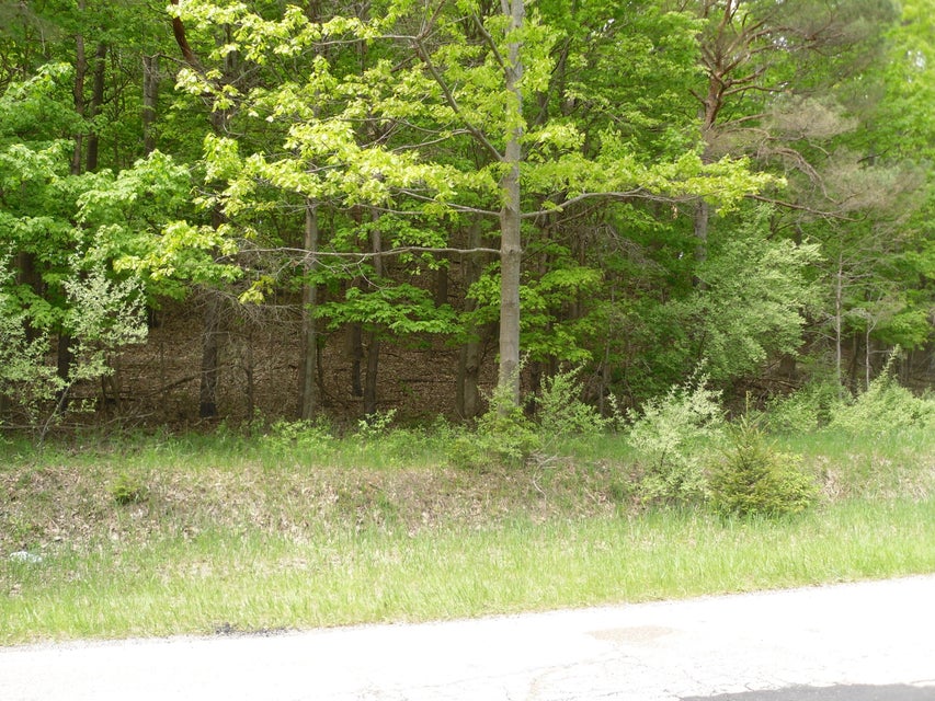 Ludington, Michigan, 49431, United States, ,Residential,For Sale,1915424