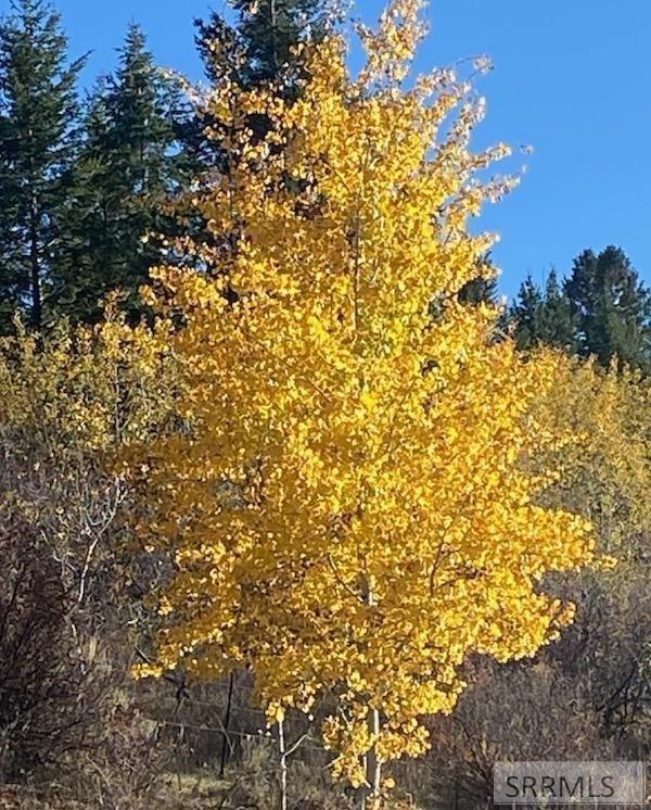 RIRIE, Idaho, 83443, United States, ,Residential,For Sale,1974893