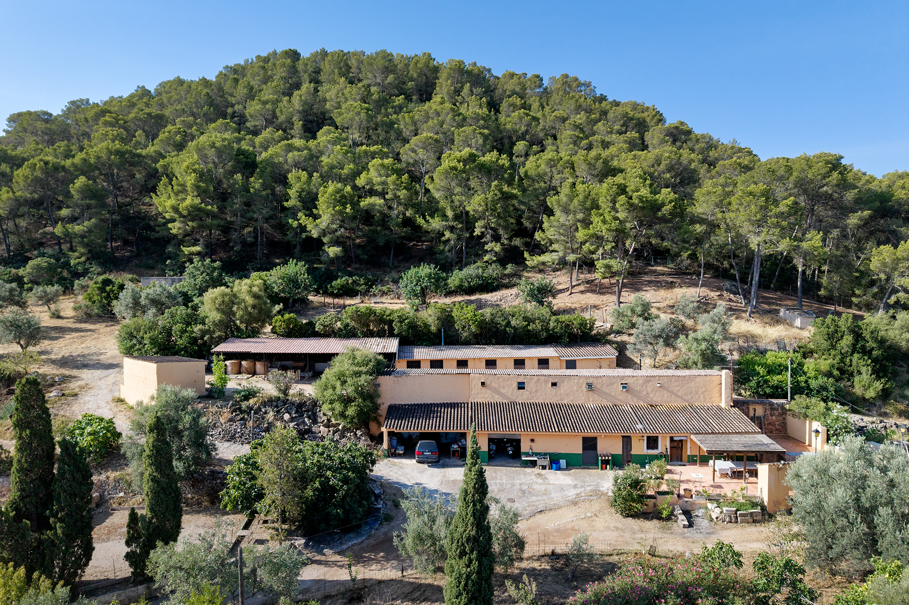  Country Estate with Equestrian Facilities in Port Andratx - 物件實景