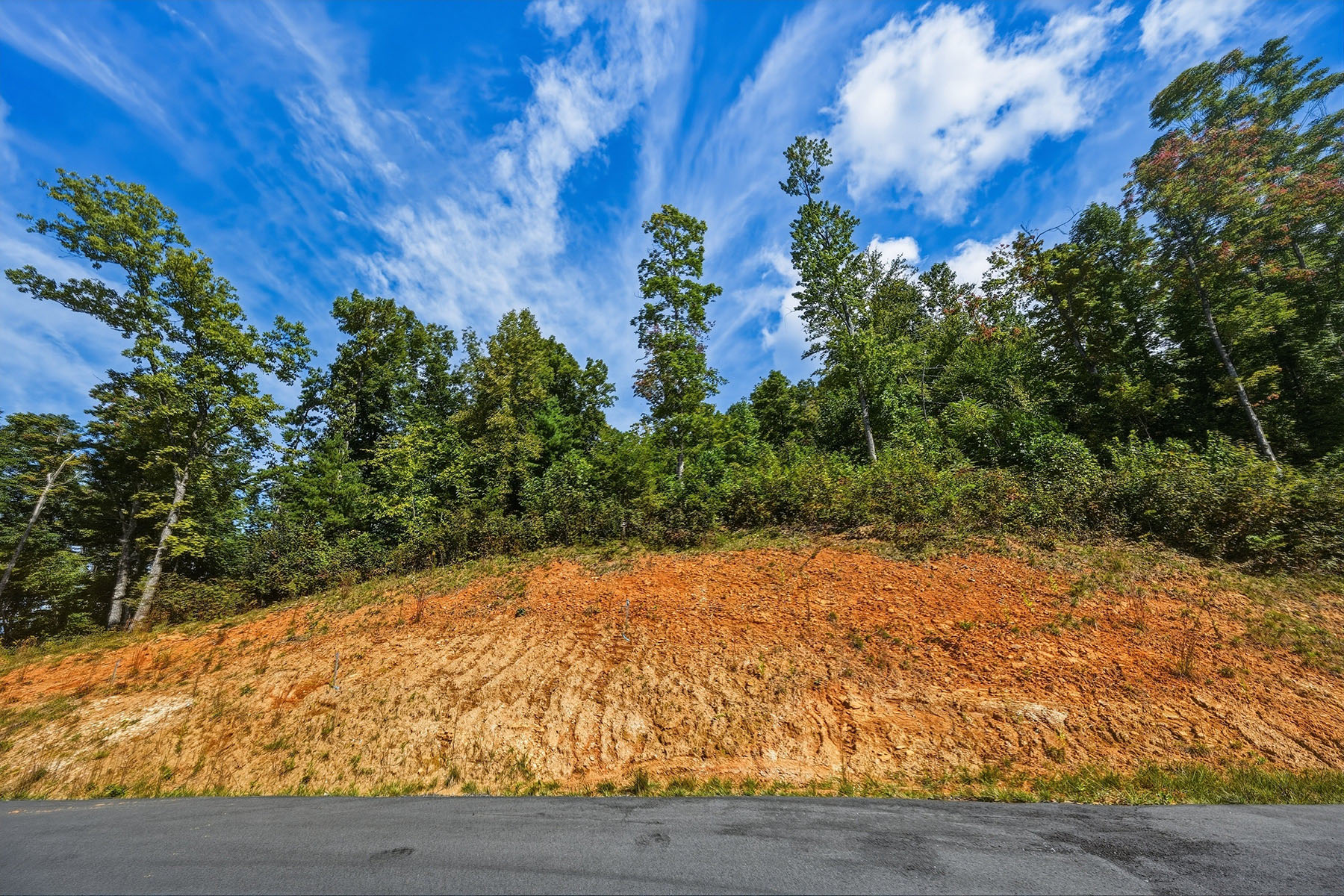  SPRUCE PINE - SUMMIT VIEW - 物件實景