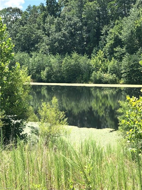 Lexington, North Carolina, 27295, United States, ,Land,For Sale,1940360