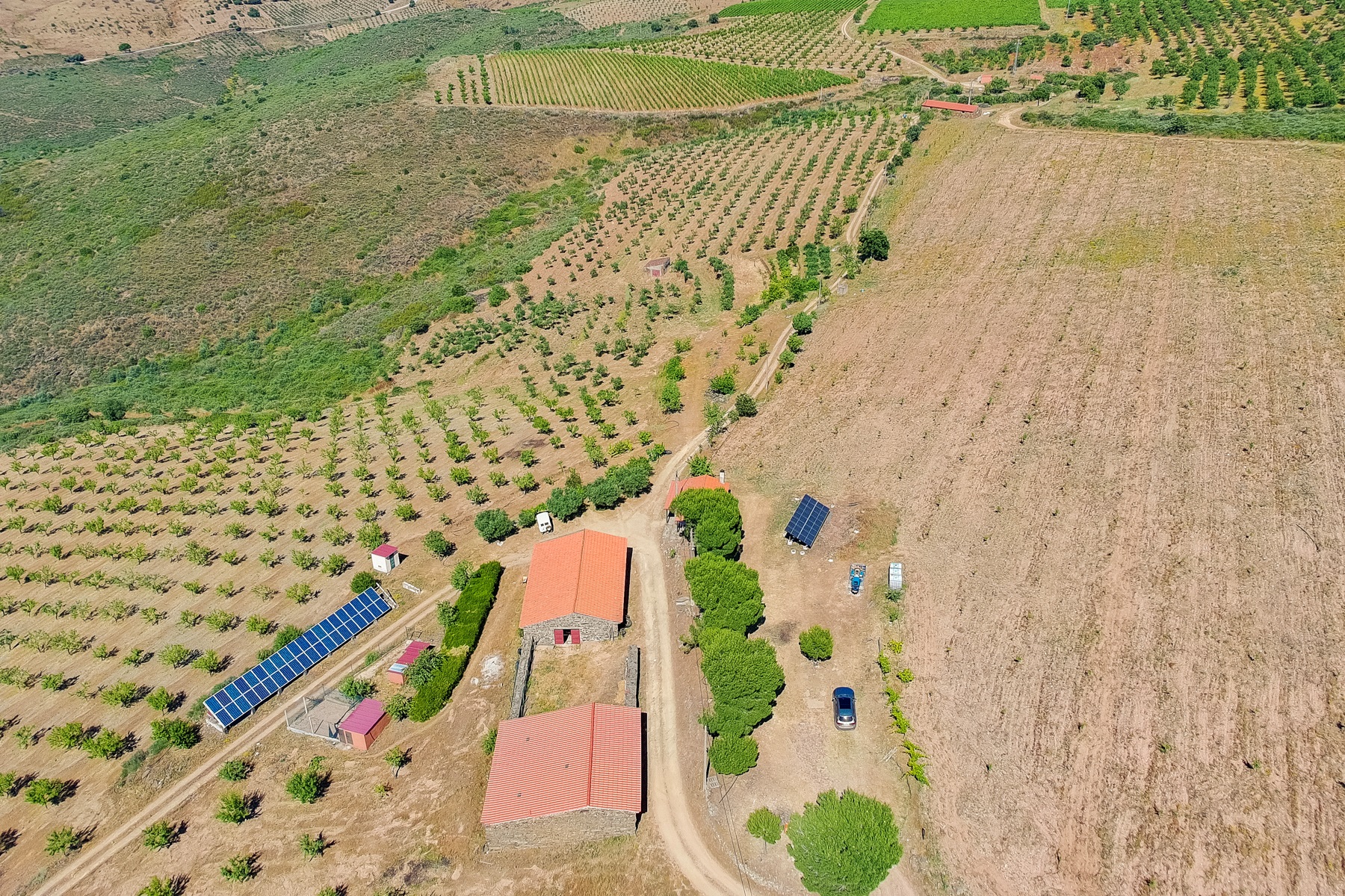  Country Estate for Sale - 物件實景