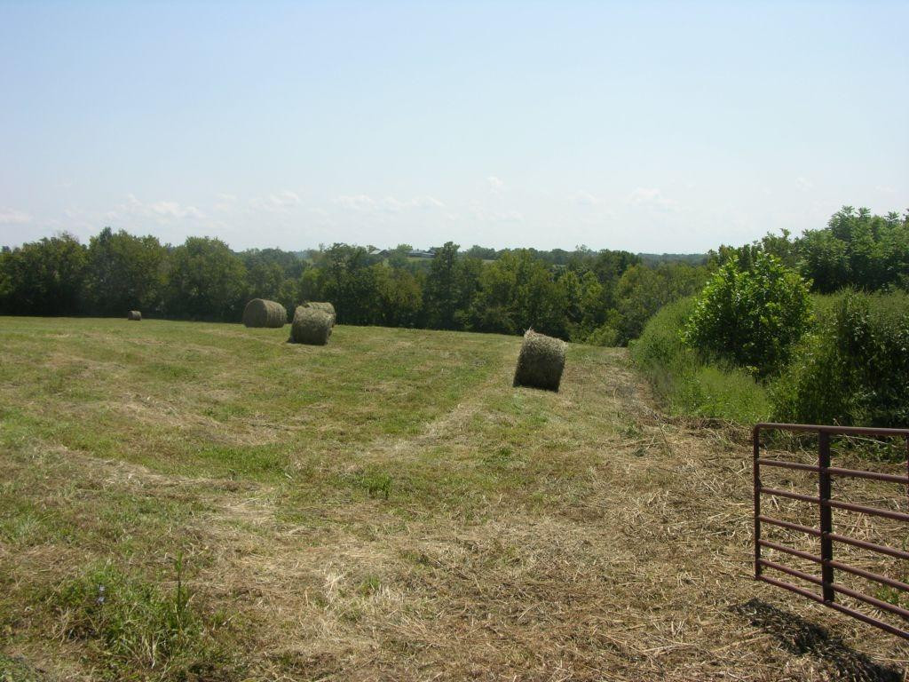1400 Curtis Pike, Richmond, Kentucky, 40475, United States, ,Land,For Sale,1400 Curtis Pike,1616978