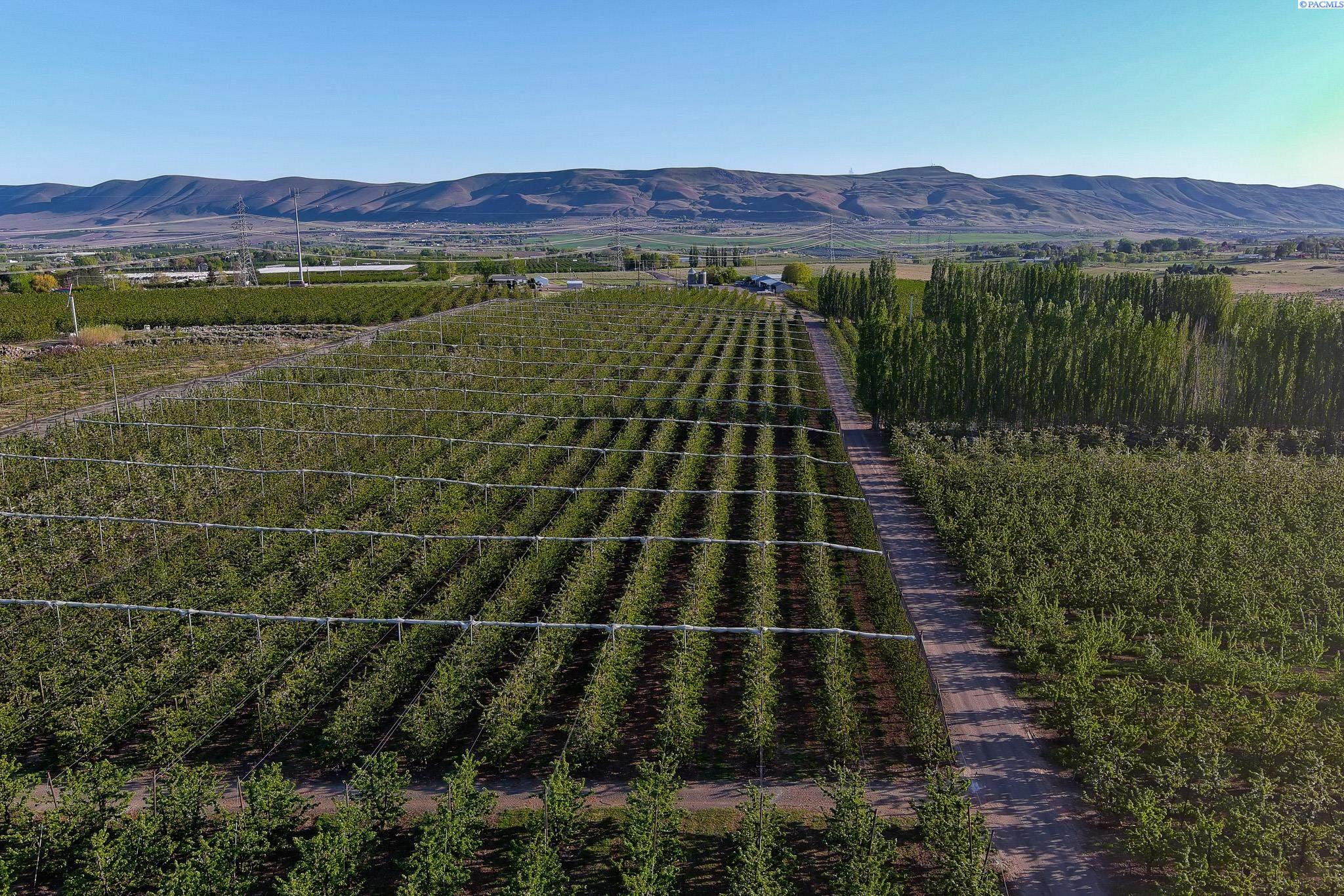 Benton City, Washington, 99320, United States, 3 Bedrooms Bedrooms, ,3 BathroomsBathrooms,Residential,For Sale,1998029