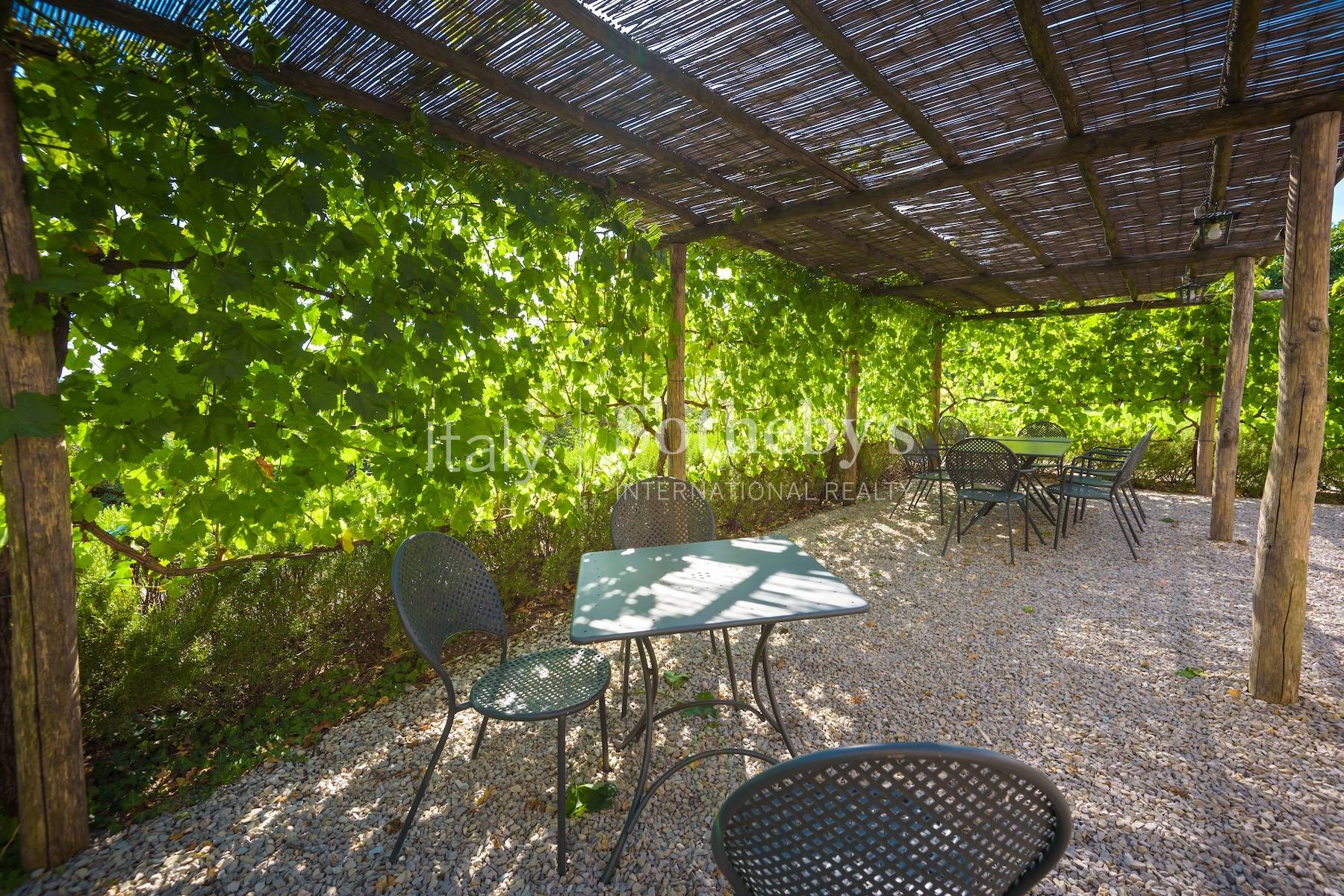  Exclusive estate in the sienese countryside - 物件實景