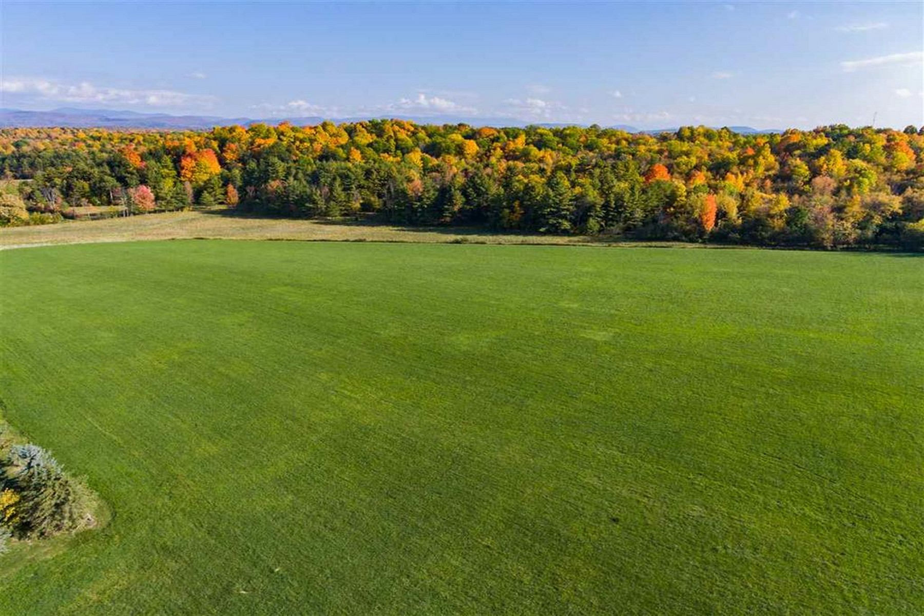  1555 Spear Street - 物件實景