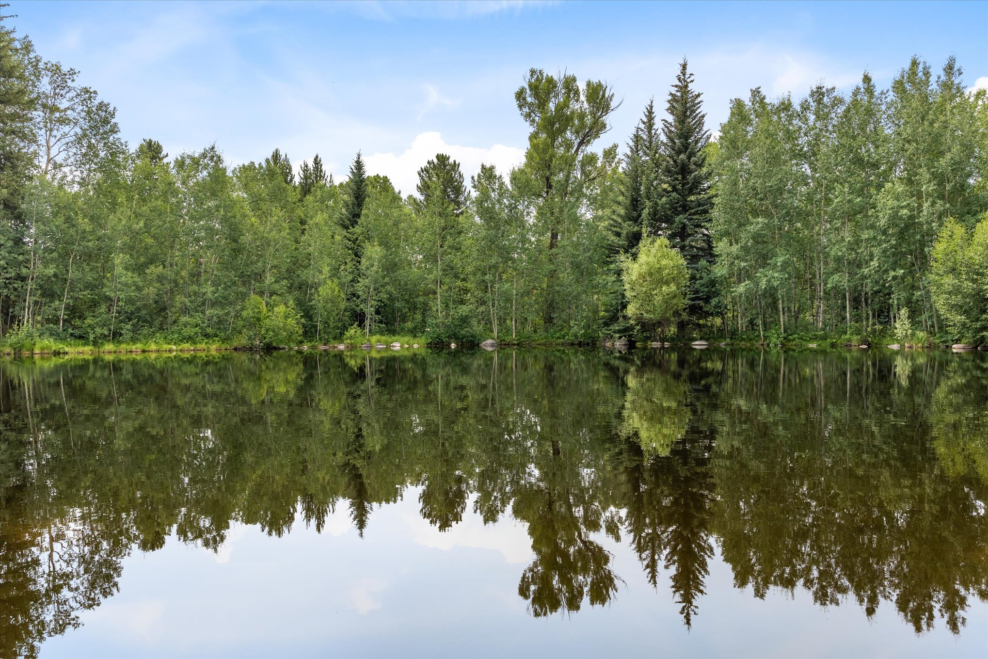  1184 Anglers Drive, Steamboat Springs, CO 80487 - 物件實景
