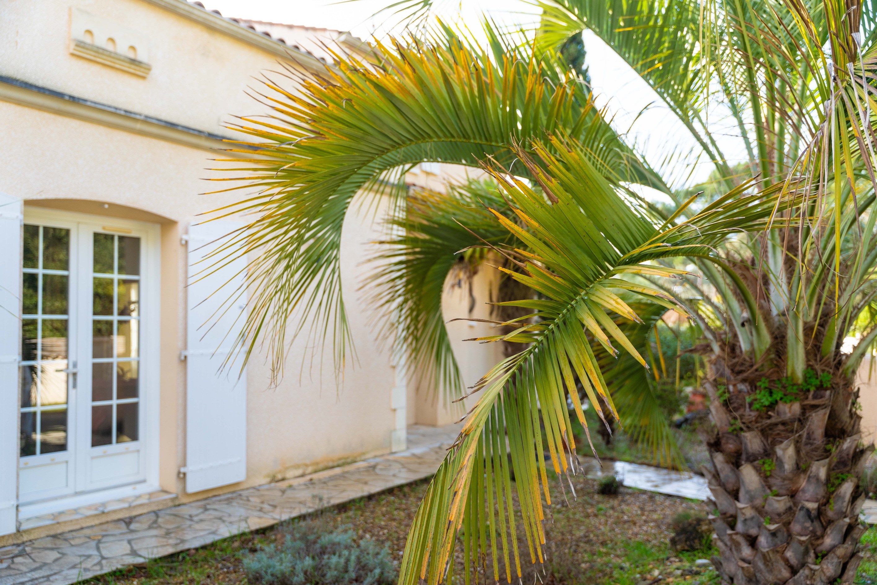  Villa in the heart of Saint-Trojan-les-bains - 物件實景