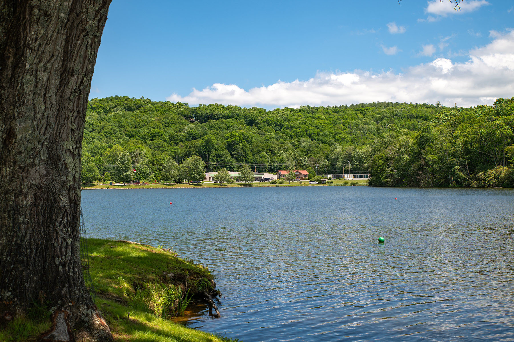  NEWLAND - LINVILLE LAND HARBOR - 物件實景