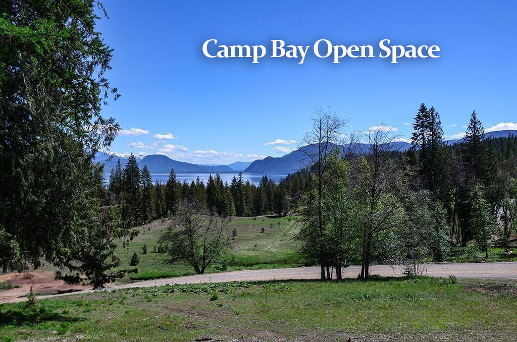 Sagle, Idaho, 83860, United States, ,Land,For Sale,1974286