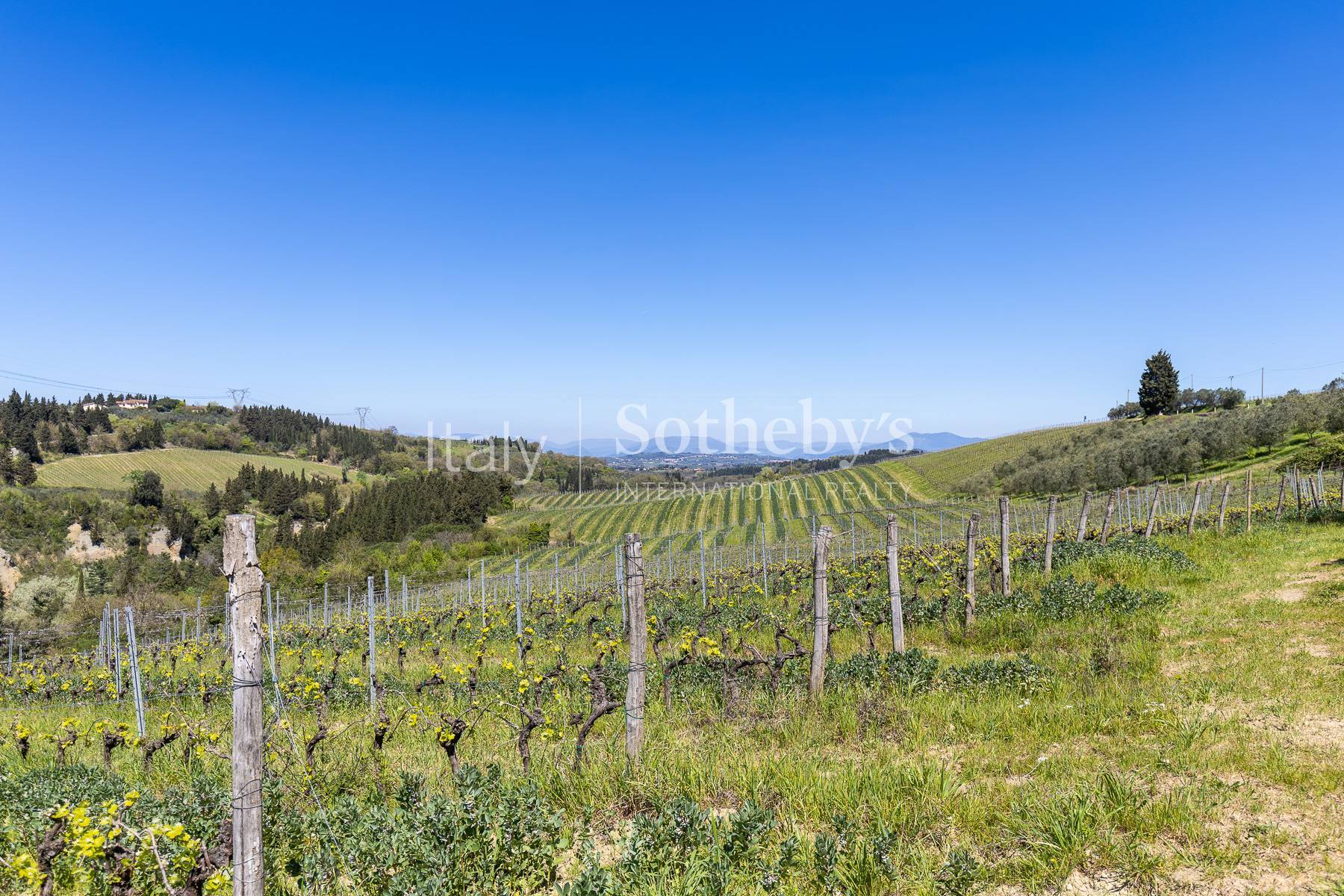  Charming estate among vineyards and history - 物件實景