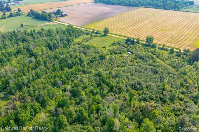 000 Willis Road, Burnside Twp, Michigan, 48416, United States, ,Land,For Sale,000 Willis Road,1288275