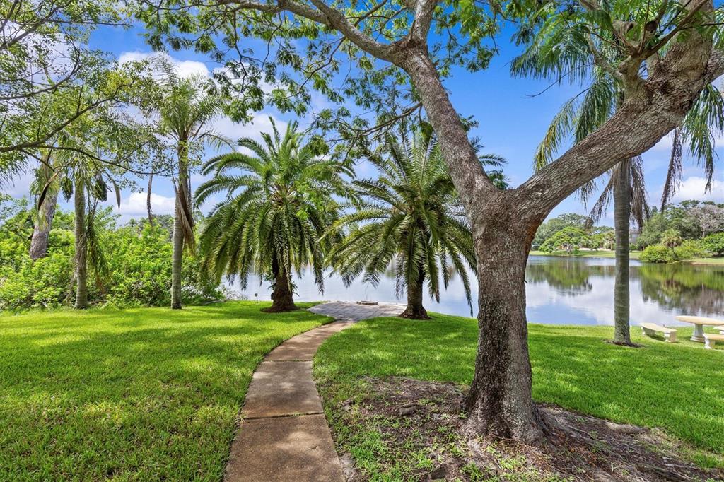 Tarpon Springs, Florida, 34689, United States, 5 Bedrooms Bedrooms, ,4 BathroomsBathrooms,Residential,For Sale,1901720