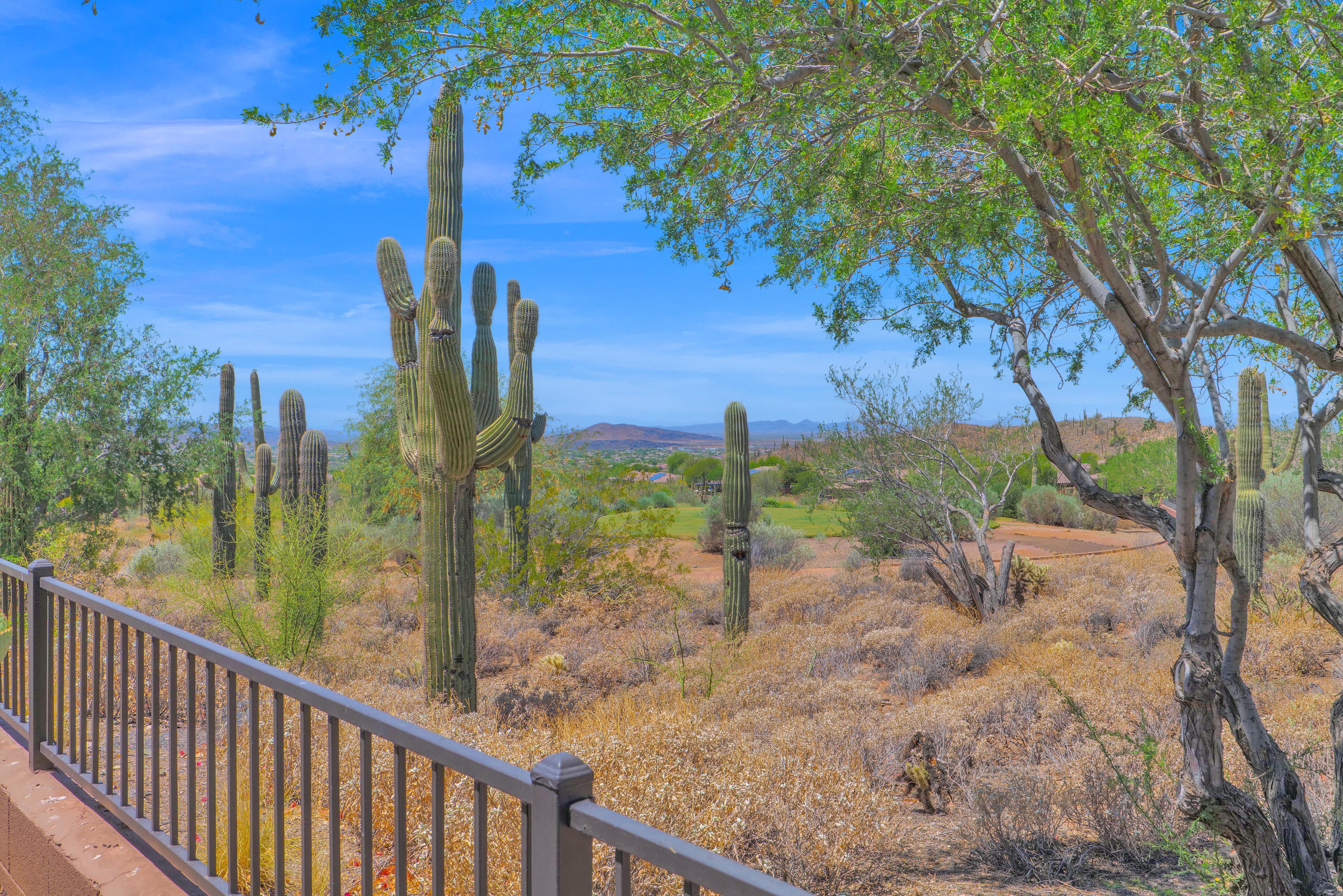  42408 N Astoria Way ¦Anthem, AZ - 物件實景