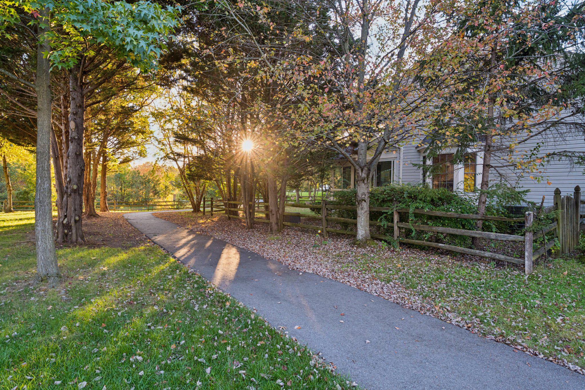  15118 Briarcliff Manor Way, Burtonsville, MD, 20866 - 物件實景