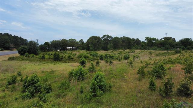 0000 US 259 N Millville Dr., Henderson, Texas, 75652, United States, ,Land,For Sale,0000 US 259 N Millville Dr.,1628323