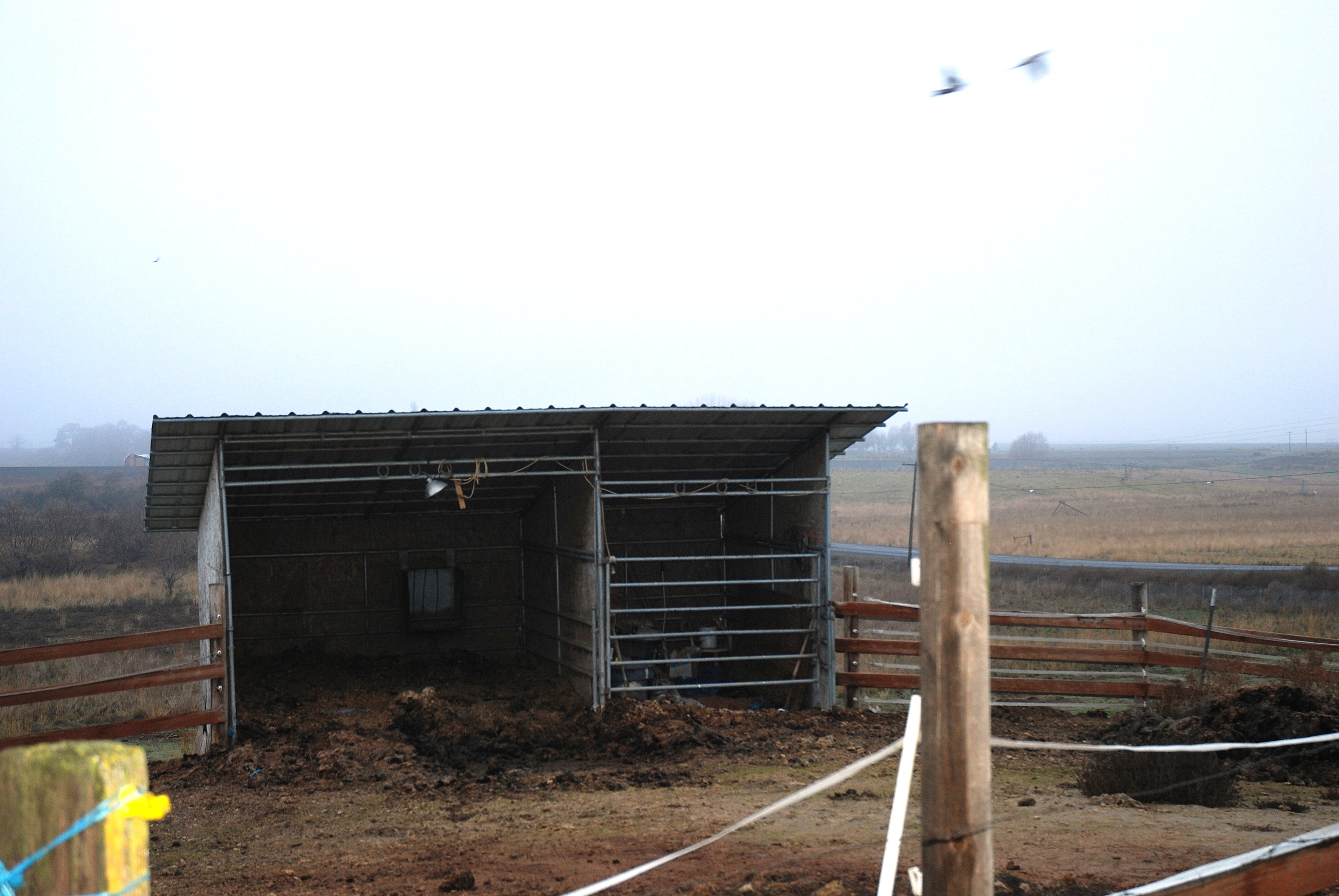 Warden, Washington, 98857, United States, 4 Bedrooms Bedrooms, ,1 BathroomBathrooms,Residential,For Sale,2006383