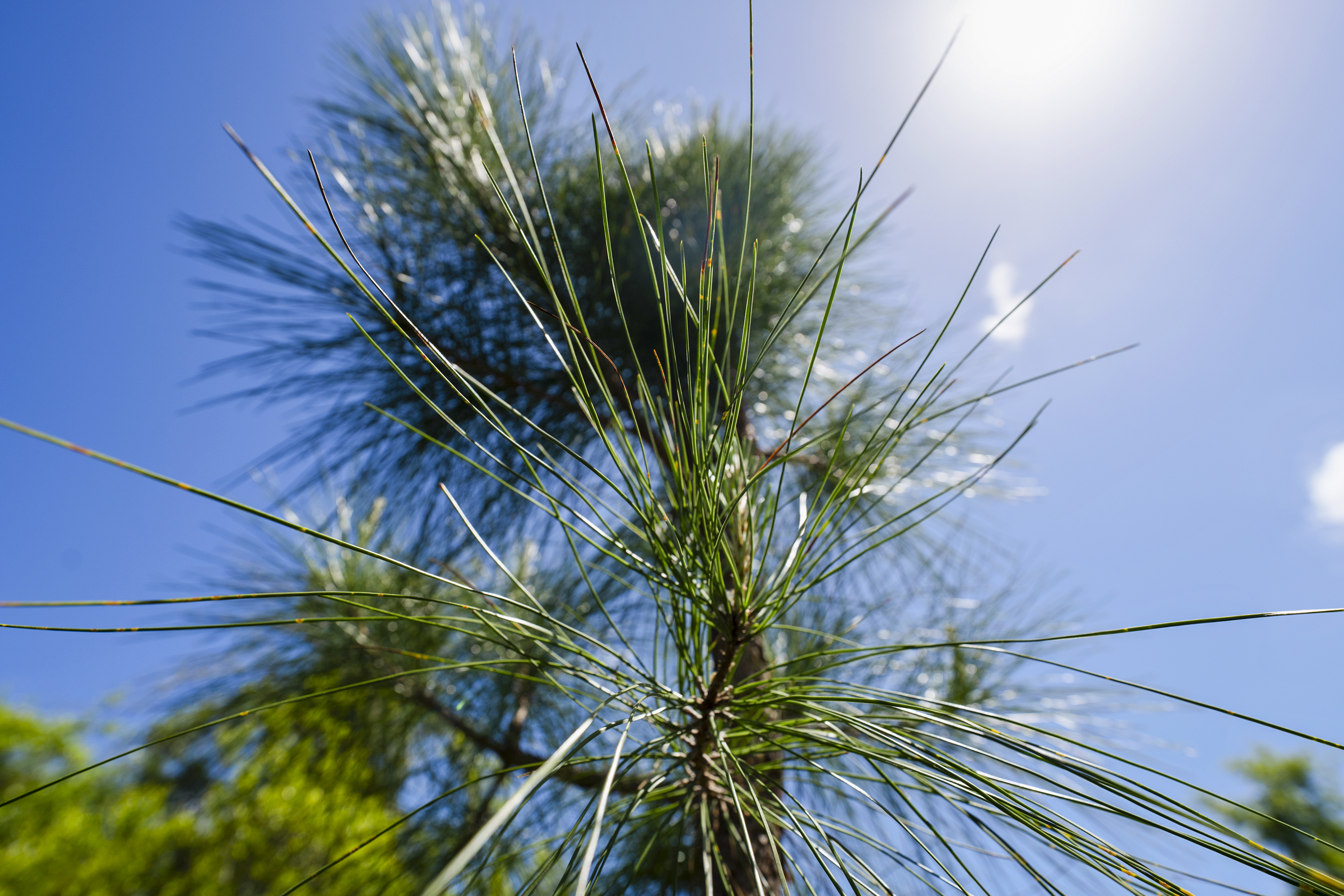  5371 Church Road, St. Augustine, FL, 32092 - 物件實景