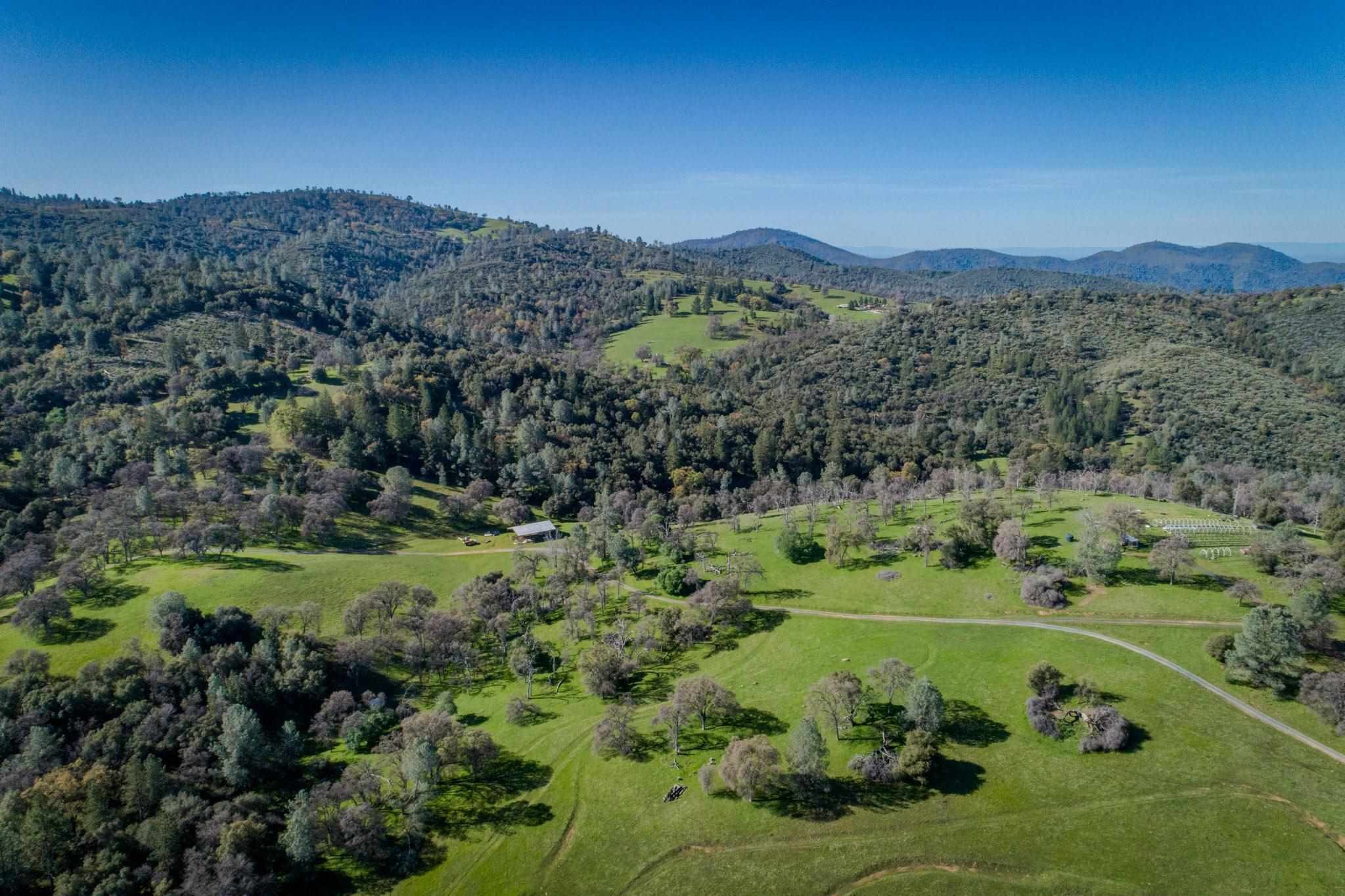 16551 Wards Ferry Rd, Big Oak Flat, California, 95305, United States, ,Land,For Sale,16551 Wards Ferry Rd,1554958