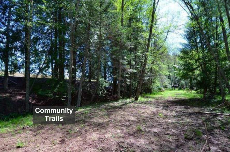 Sagle, Idaho, 83860, United States, ,Land,For Sale,1974286