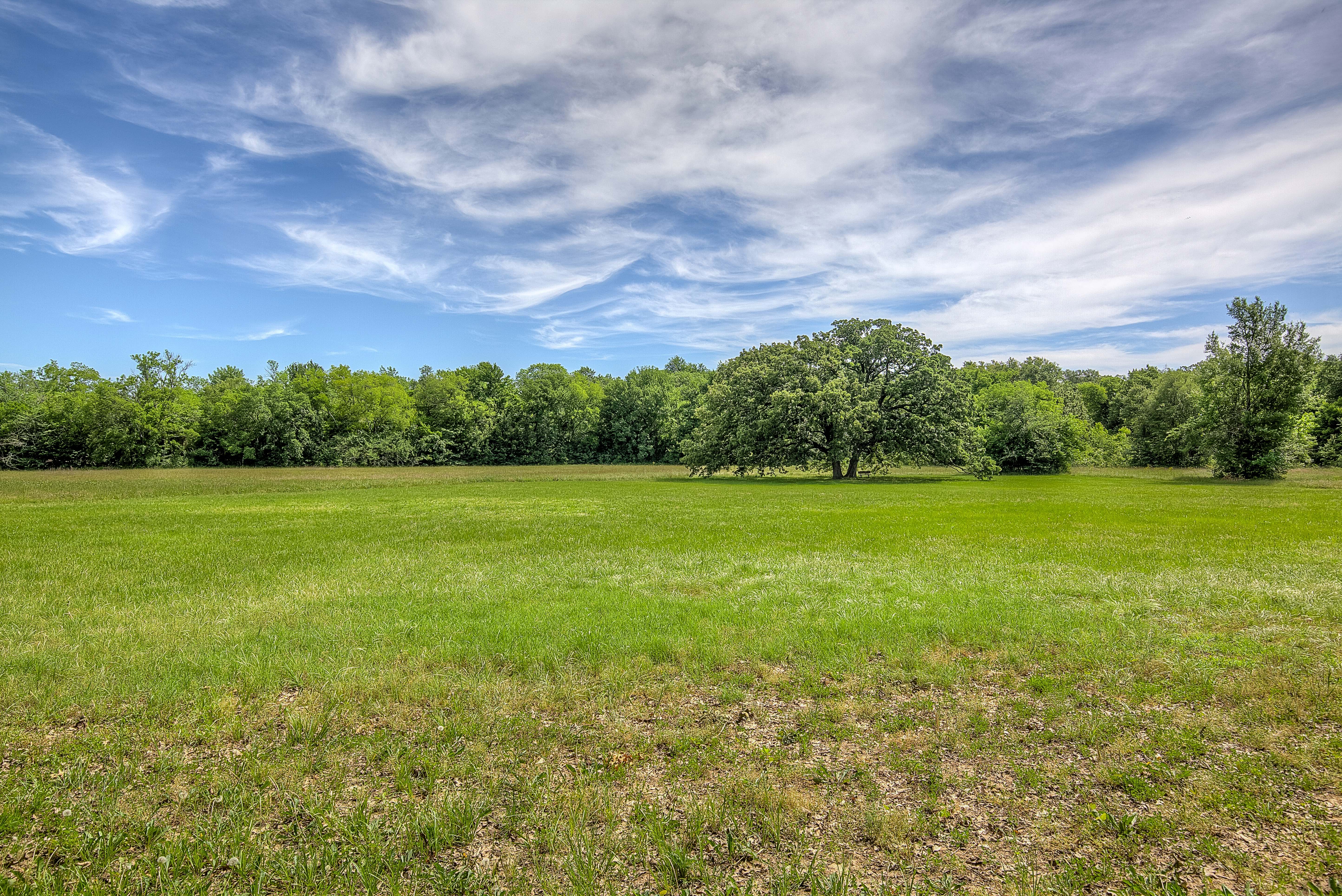 Sulphur Springs, Texas, 75482, United States, 4 Bedrooms Bedrooms, ,4 BathroomsBathrooms,Residential,For Sale,1981716
