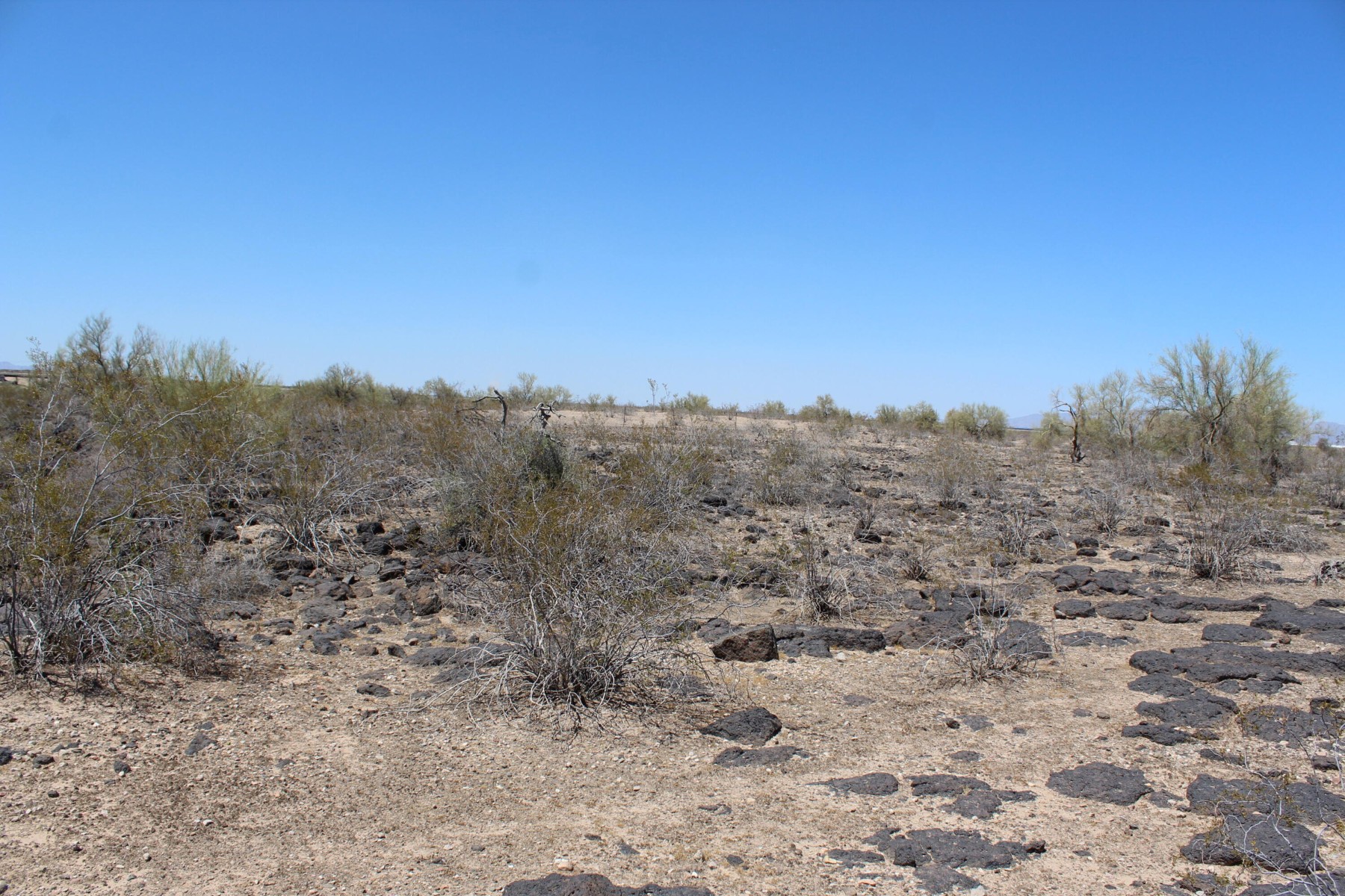  11 S 337th Avenue, Arlington, AZ, 85322 - 物件實景