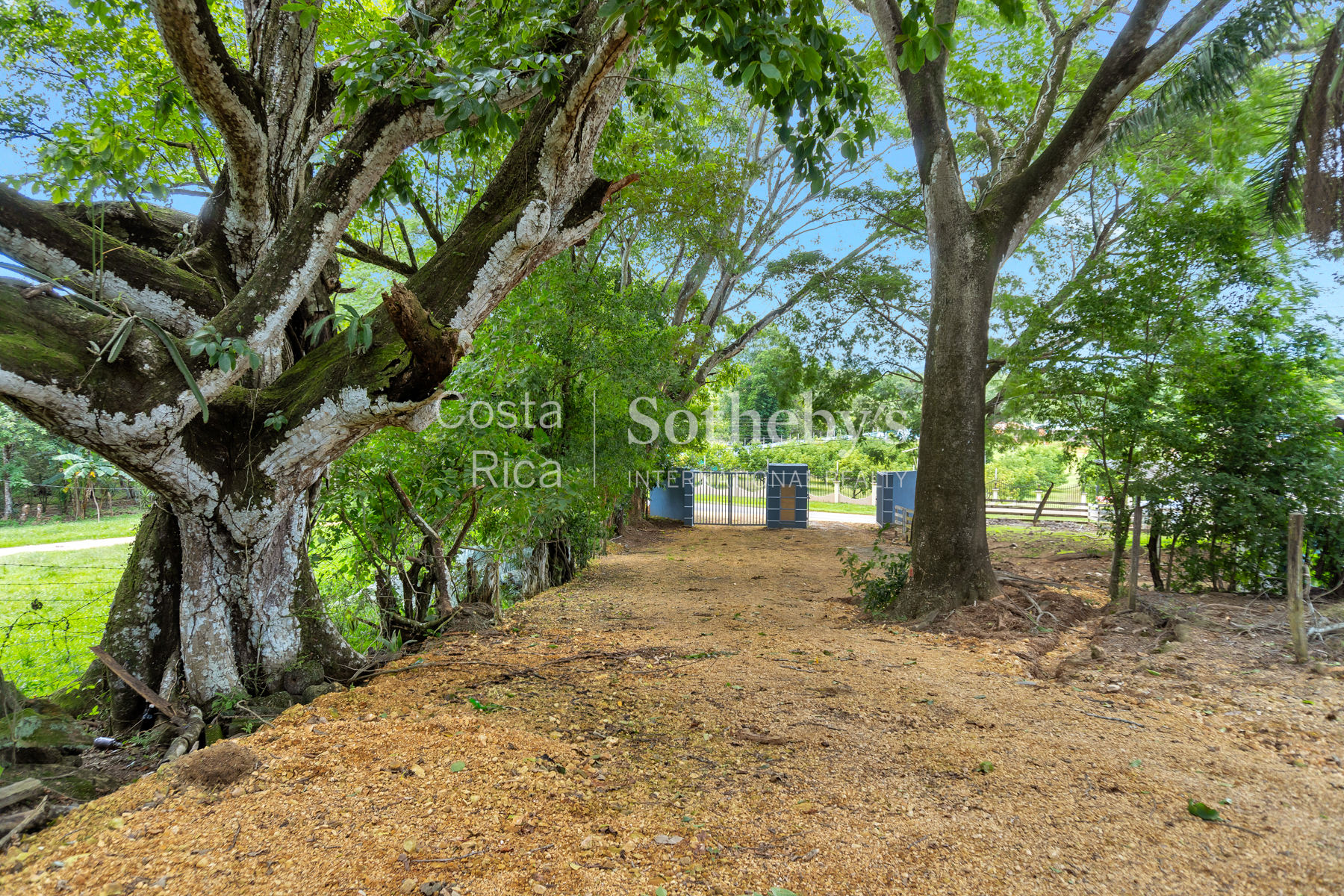  Vistamar Esparza Development Land - 物件實景
