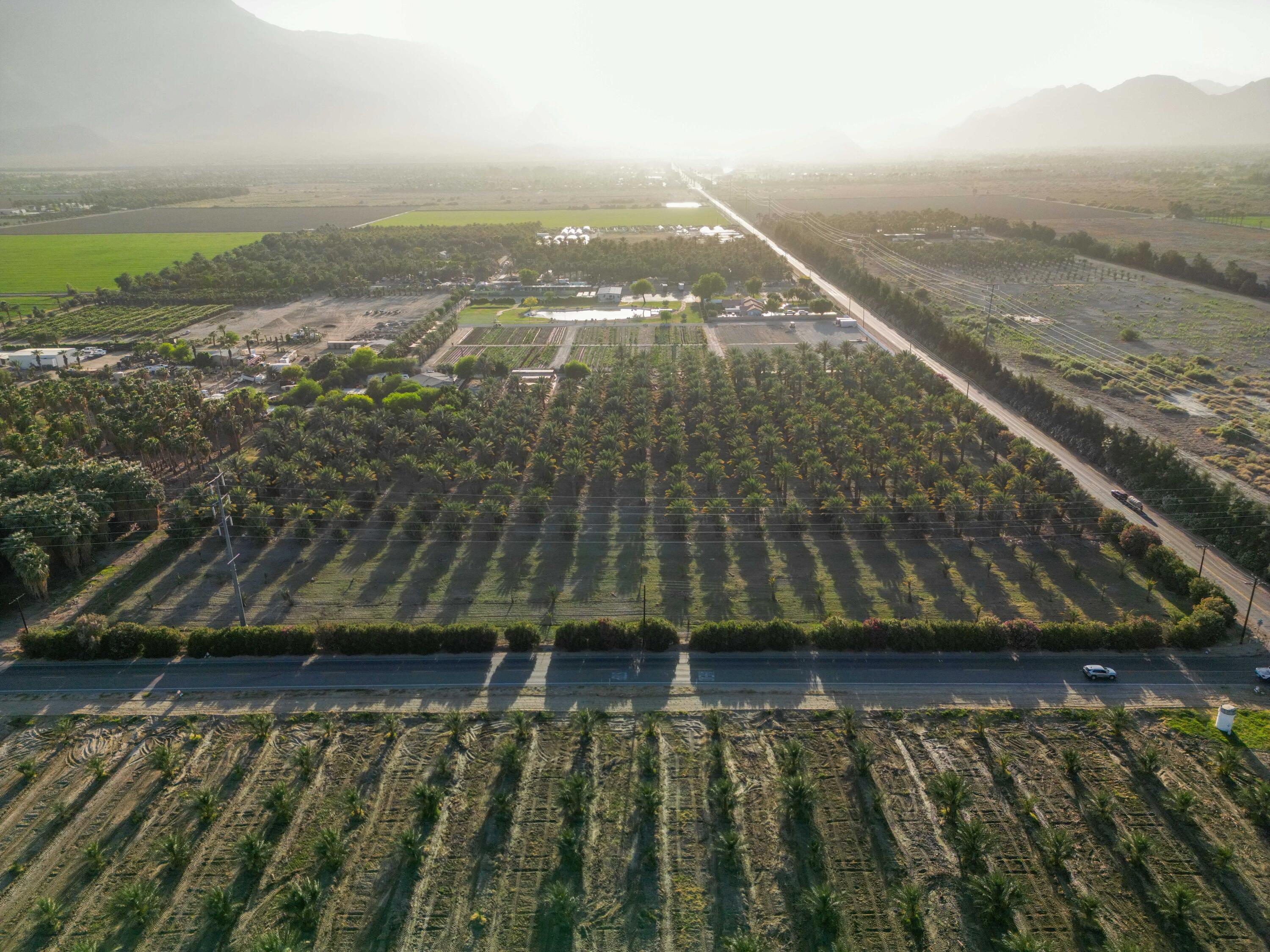 Thermal, California, 92274, United States, ,Land,For Sale,2006588