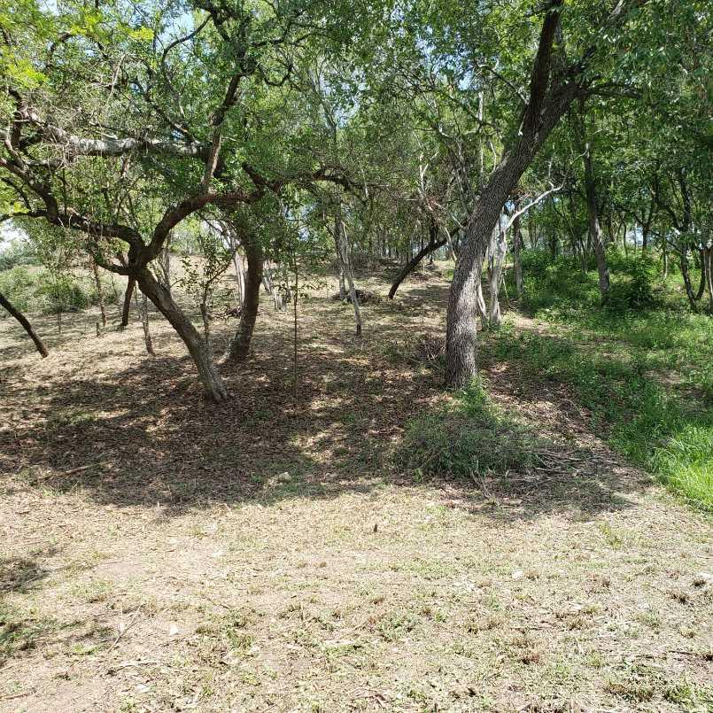 gonzalez, Santiago, Nuevo León, 67300, Mexico, 1 Bedroom Bedrooms, ,Residential,For Sale,gonzalez,1441494
