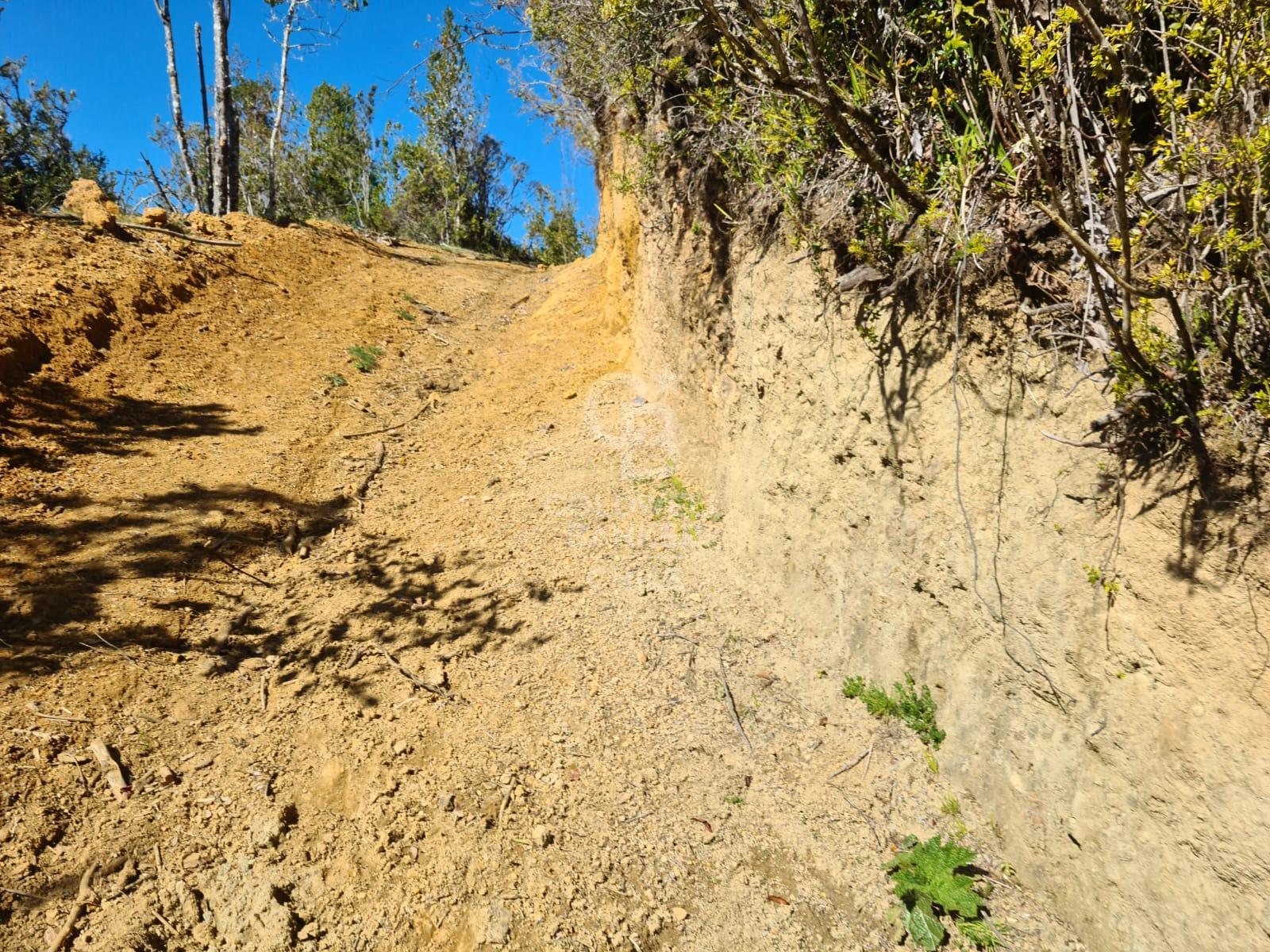 Fresia, Chile, ,Residential,For Sale,1913252