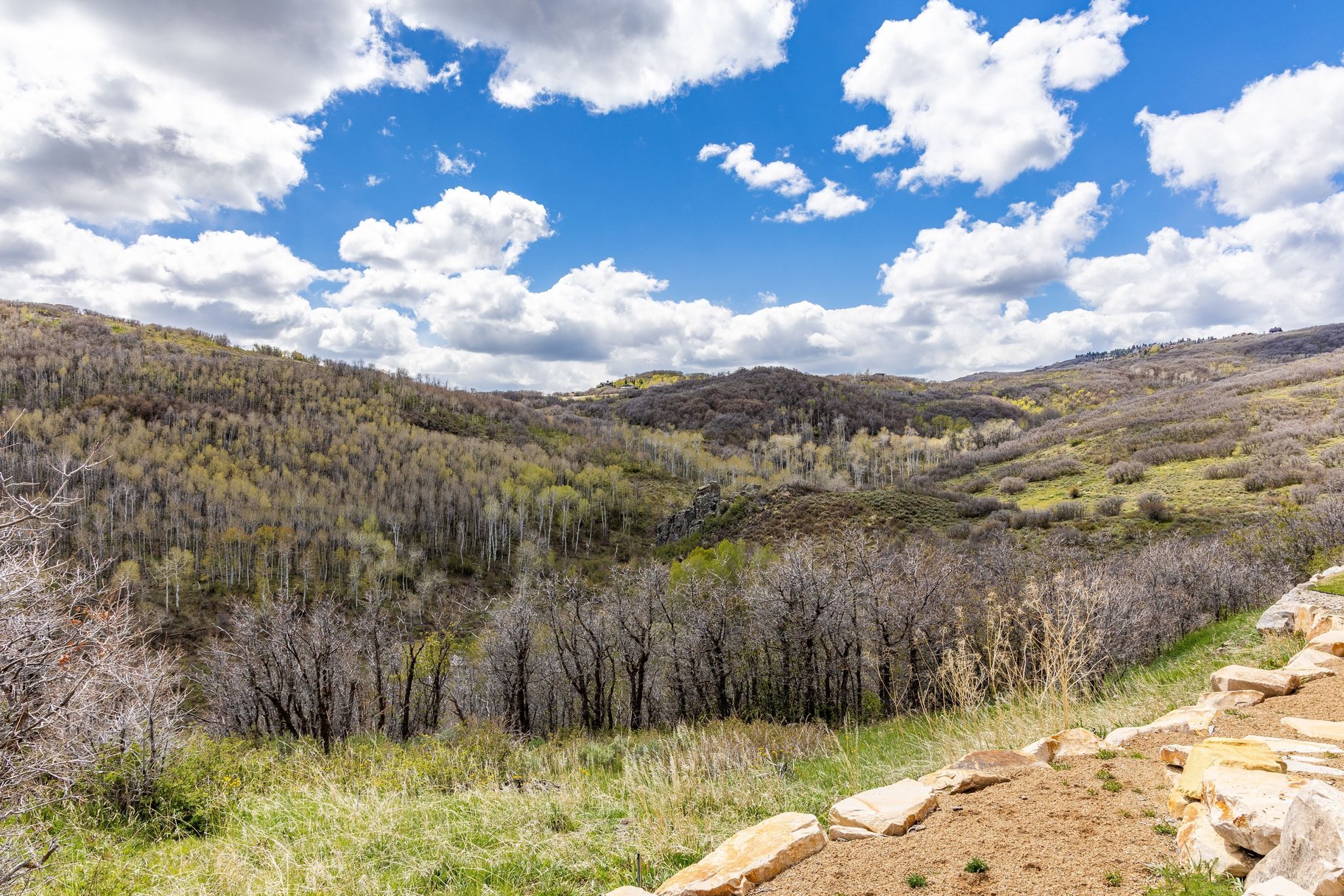  Rocky Point Preserve - 260+ Acre Preserve Just 20 Minutes to Park City - 物件實景