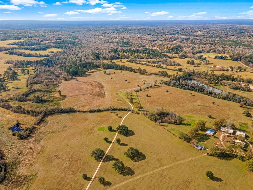 227.5 Acres Old Military (hwy 1082) Road, Bush, Louisiana, 70431, United States, ,Land,For Sale,227.5 Acres Old Military (hwy 1082) Road,1434121