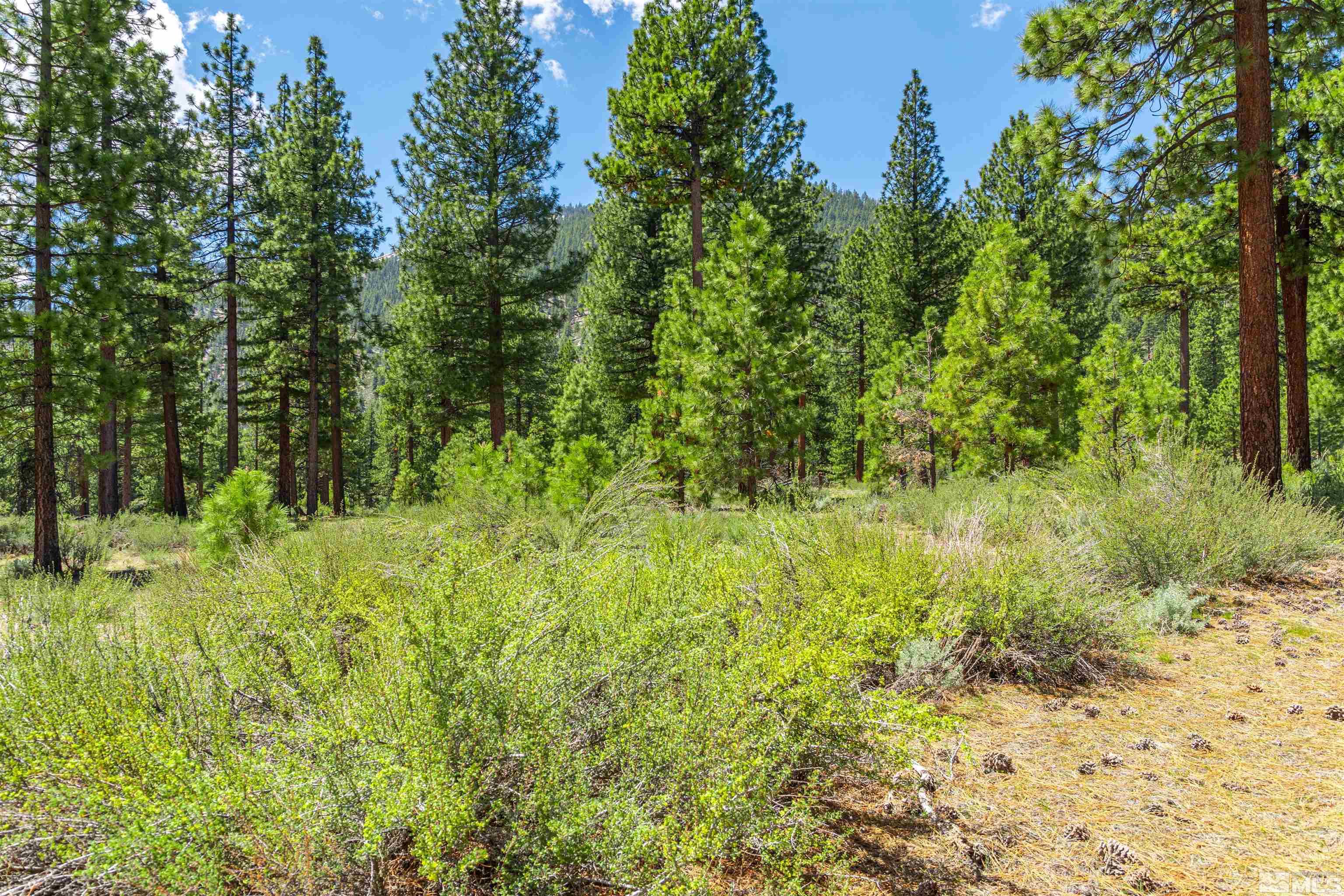 Carson City, Nevada, 89705, United States, ,Land,For Sale,1826407
