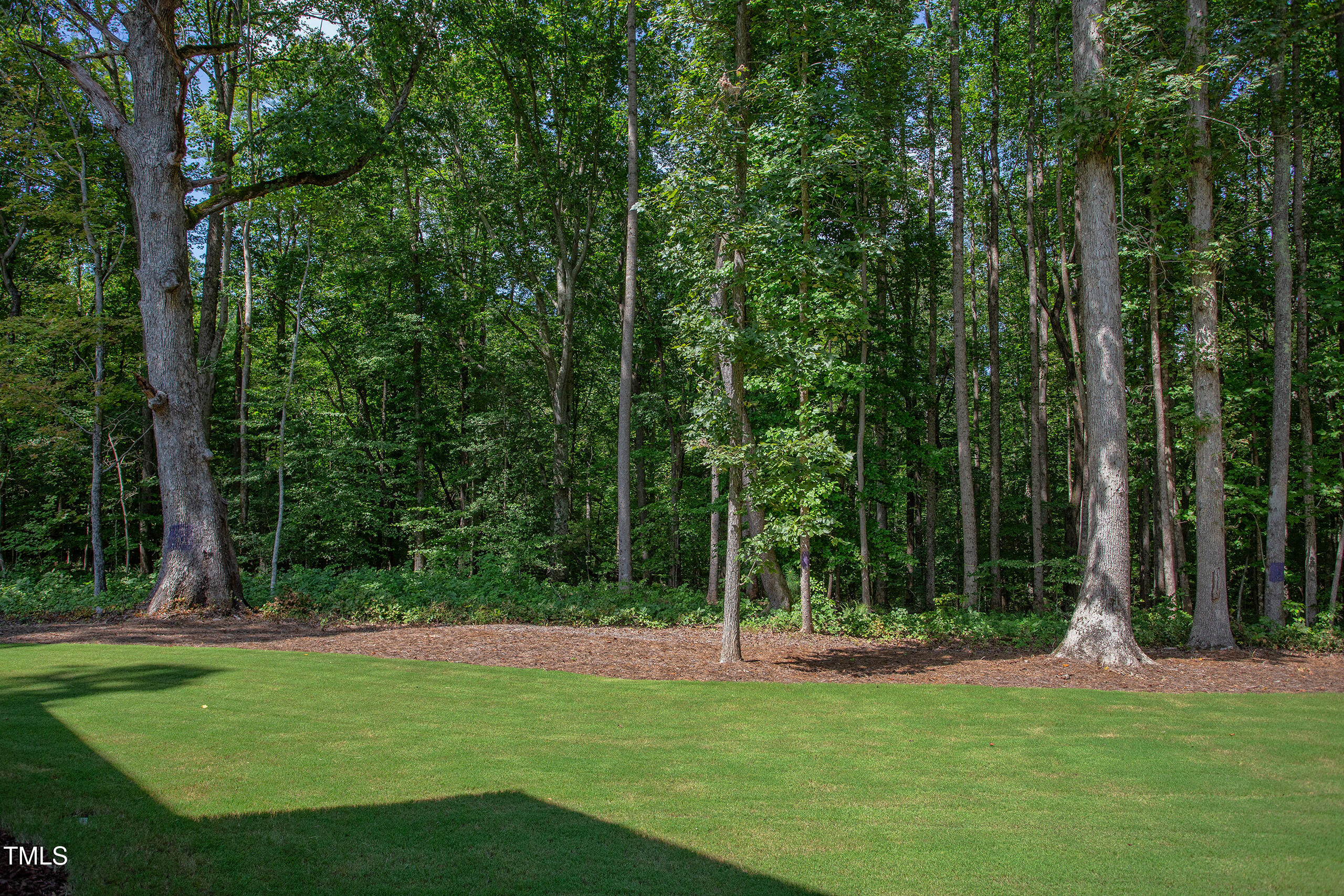 Wake Forest, North Carolina, 27587, United States, 4 Bedrooms Bedrooms, ,4 BathroomsBathrooms,Residential,For Sale,1919528