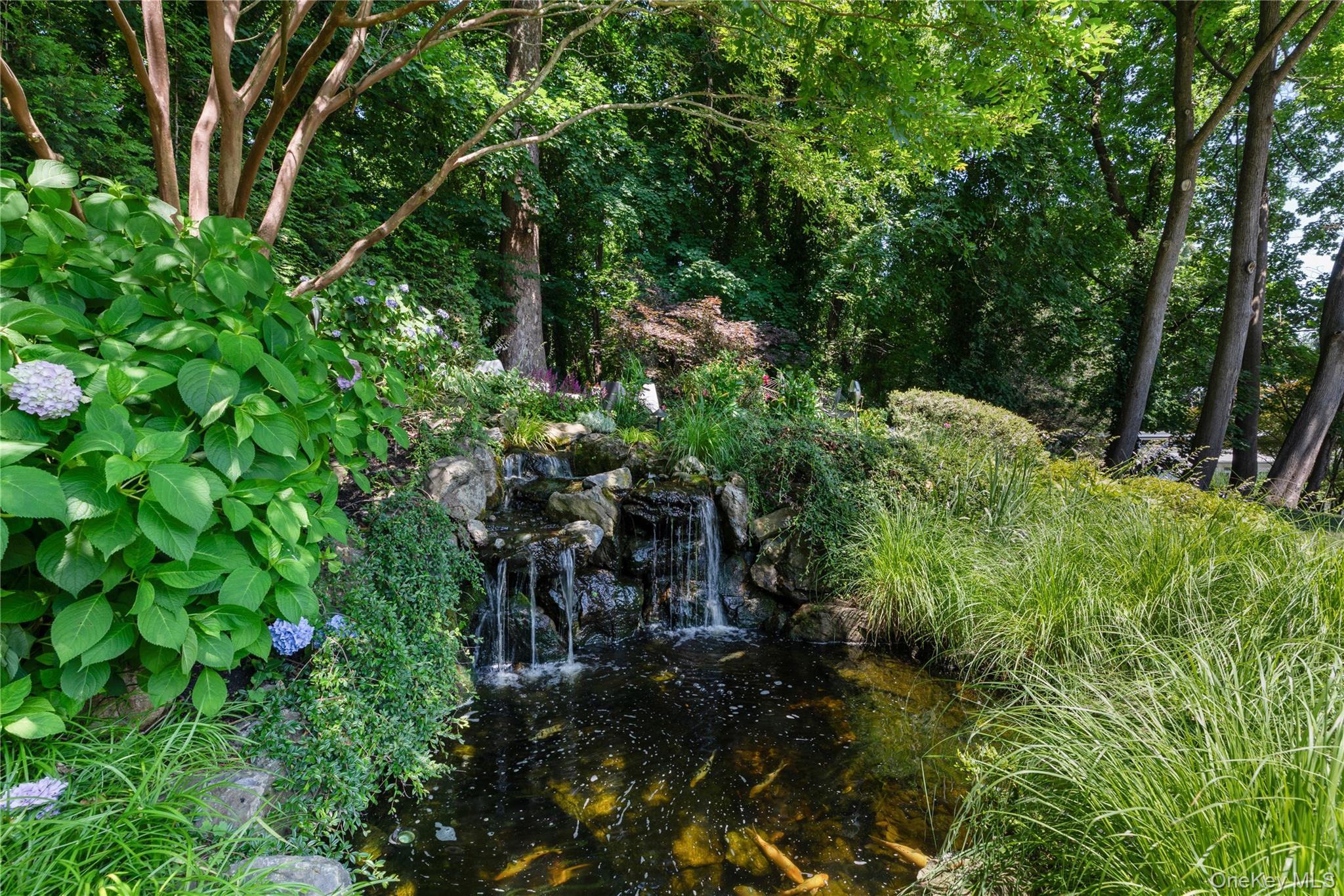  353 E Shore Road, Great Neck, NY, 11023 - 物件實景