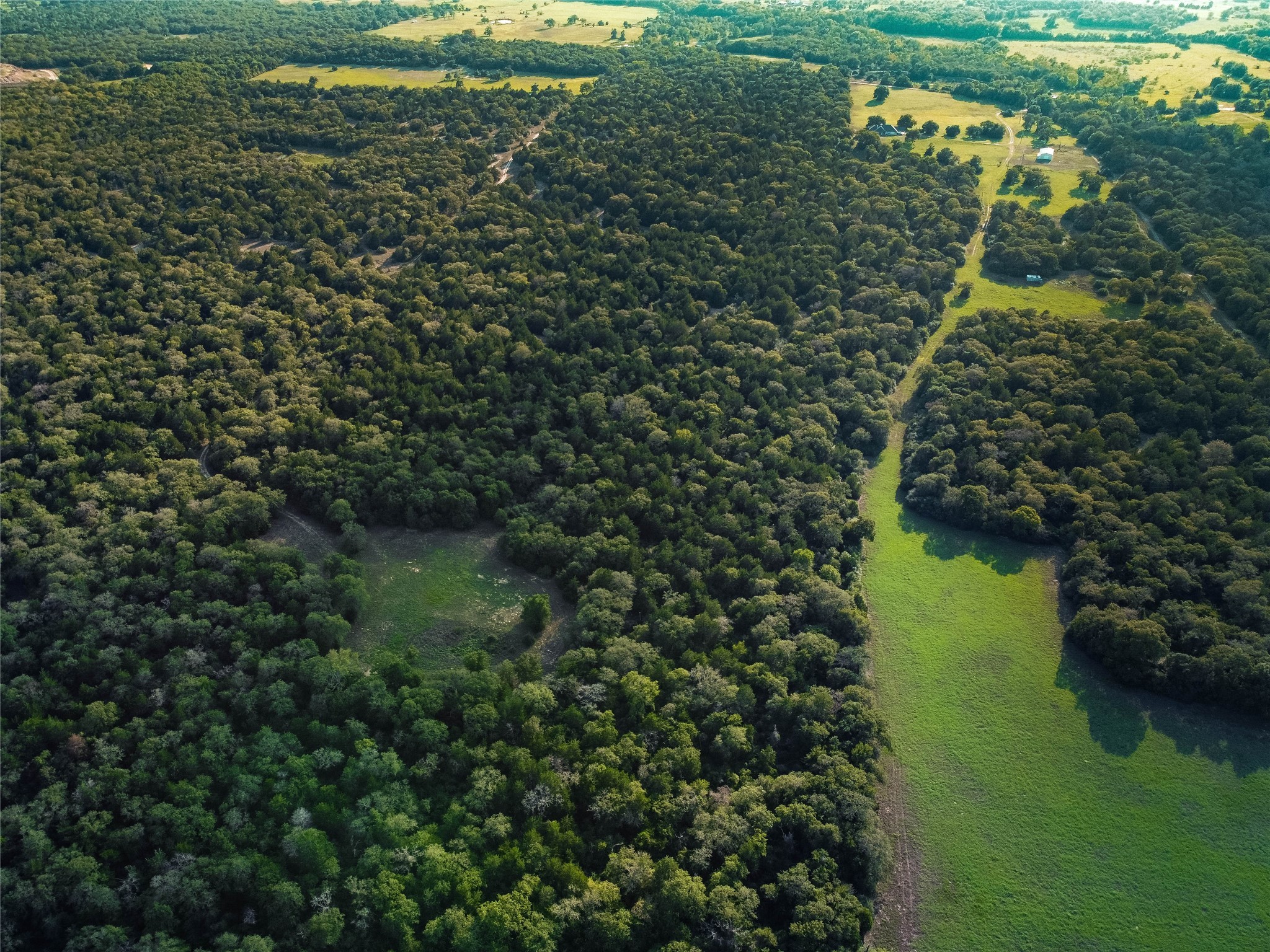 5632 County Road 317, Caldwell, Texas, 77836, United States, ,Land,For Sale,5632 County Road 317,1626286