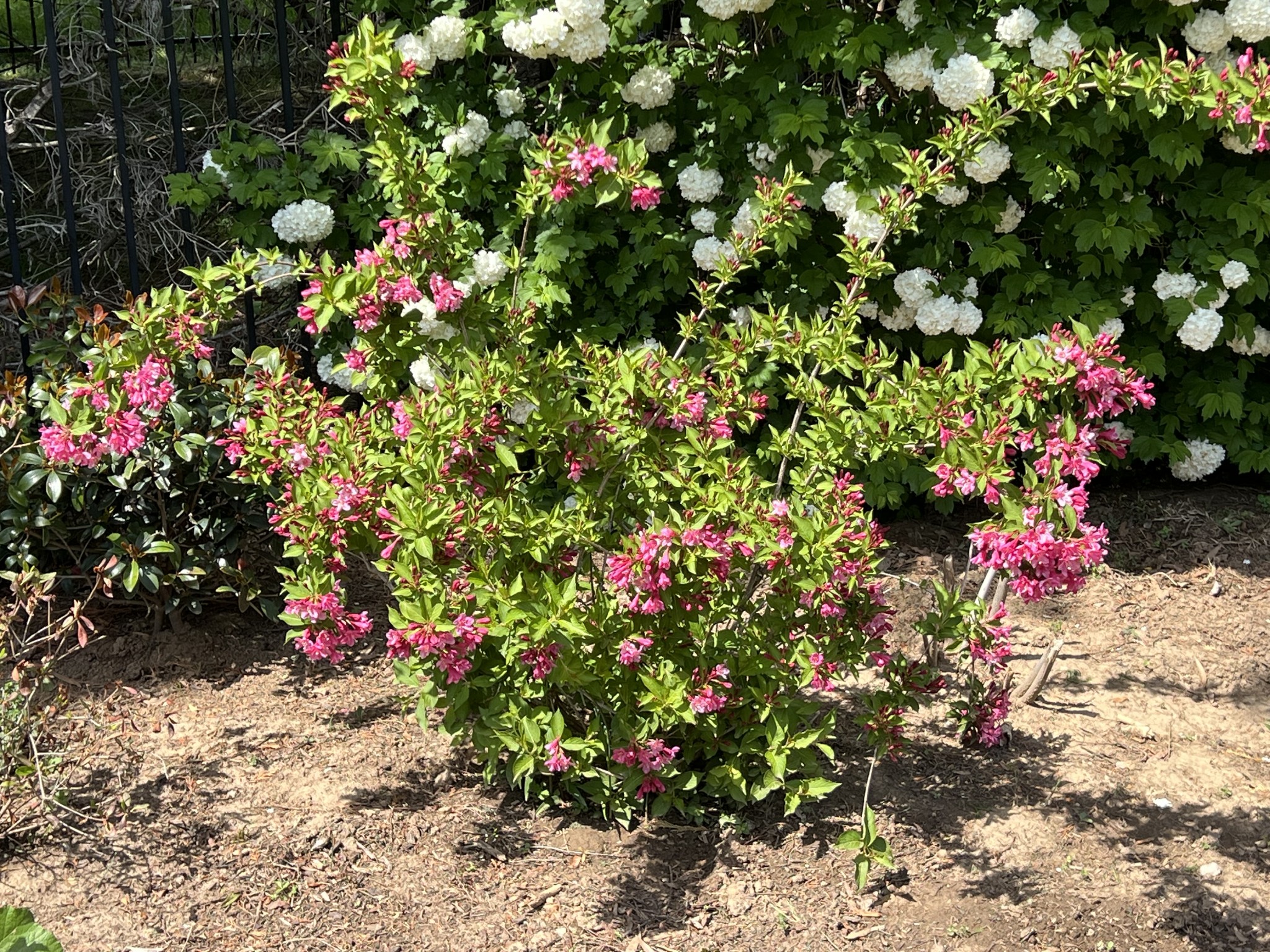  650 Bonita Pkwy S, Hendersonville, TN, 37075 - 物件實景