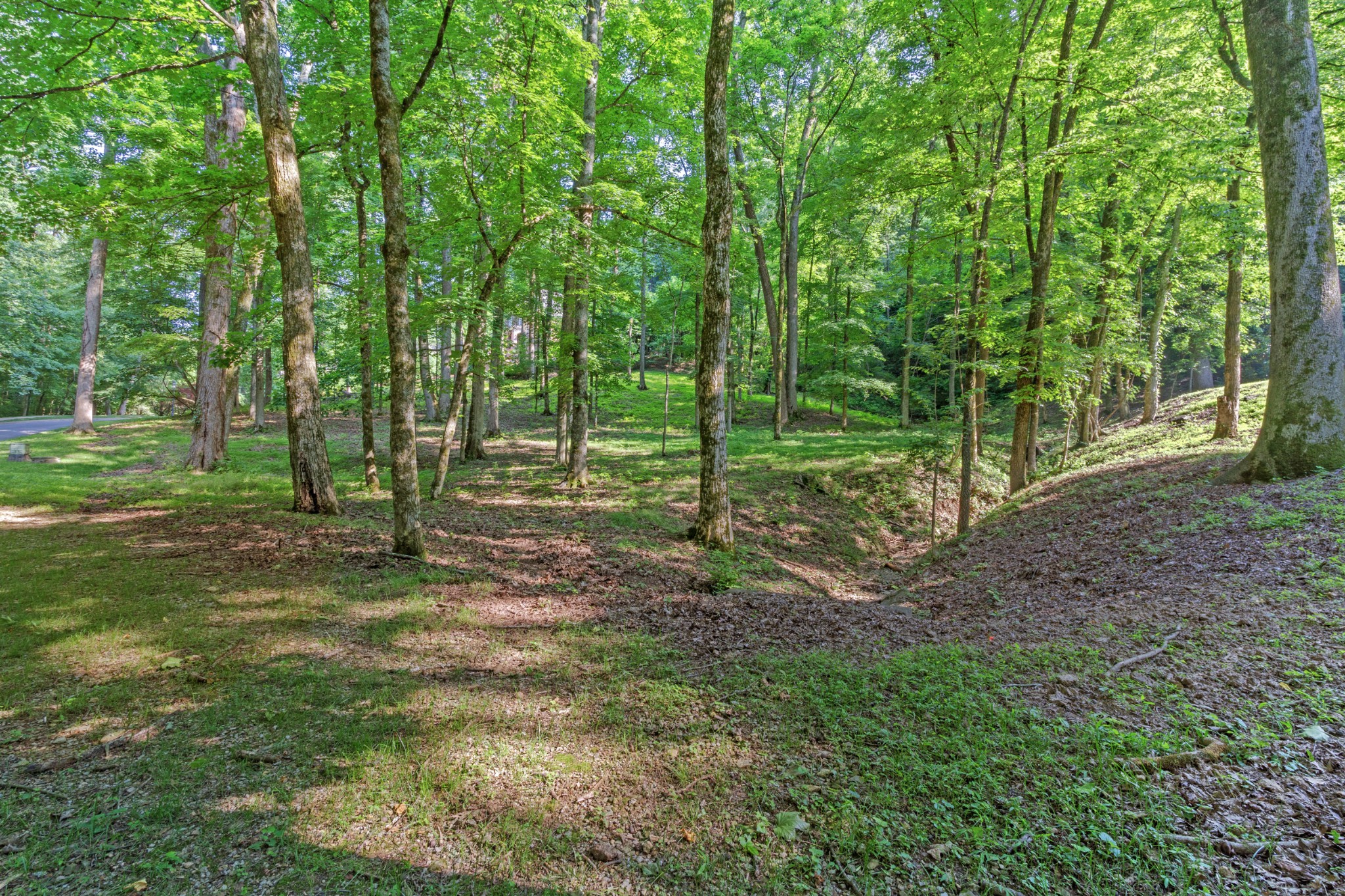 Nashville, Tennessee, 37215, United States, ,Land,For Sale,1846562