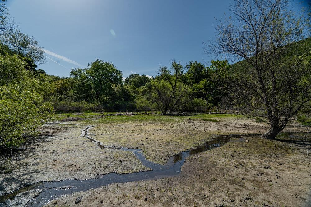 Greenfield, California, 93927, United States, ,Residential,For Sale,1943227