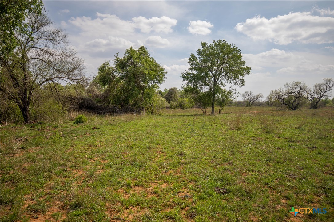 Jourdanton, Texas, 78026, United States, ,Residential,For Sale,1951381