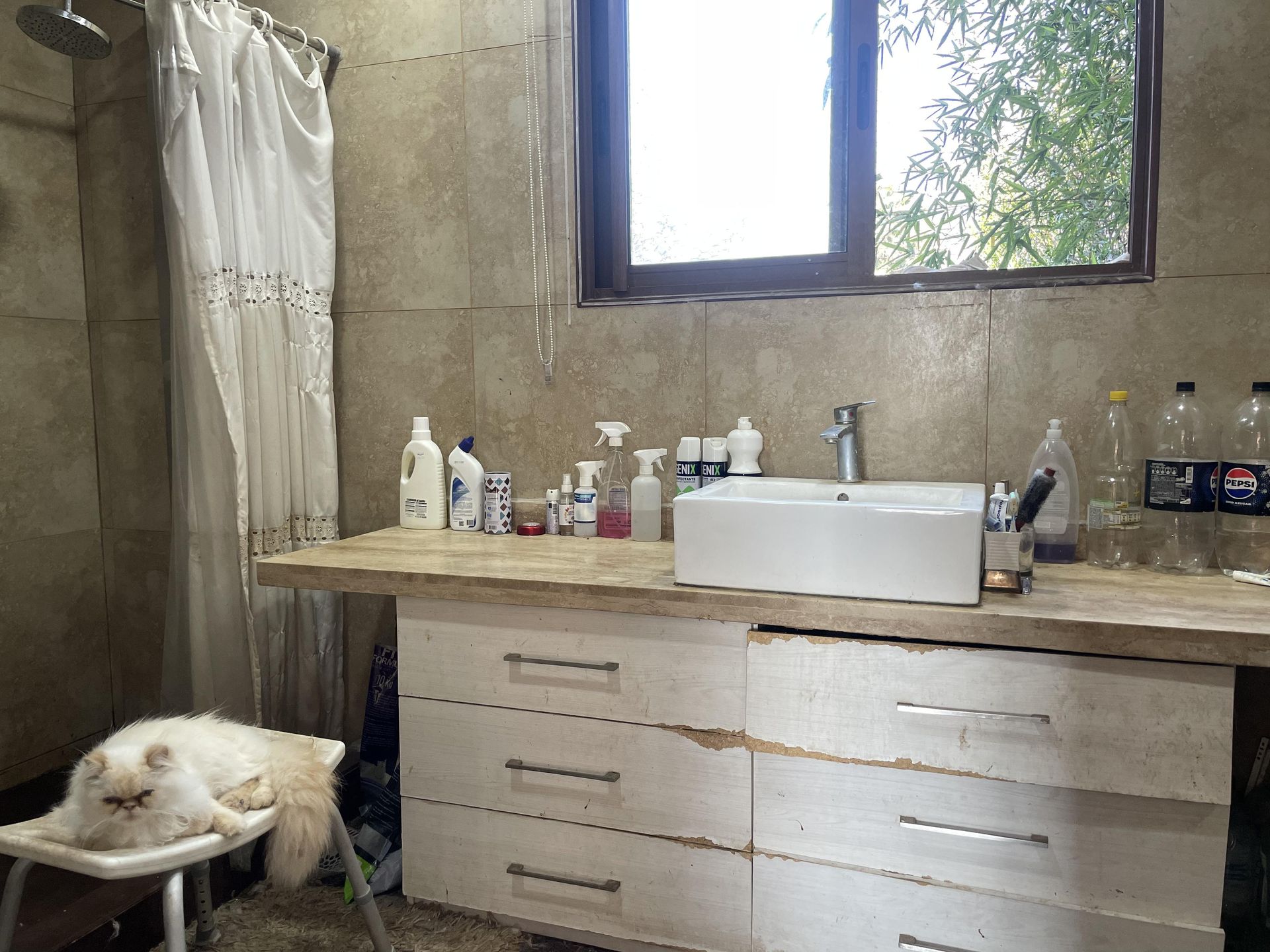 Colina, Chile, 5 Bedrooms Bedrooms, ,5 BathroomsBathrooms,Residential,For Sale,1948525