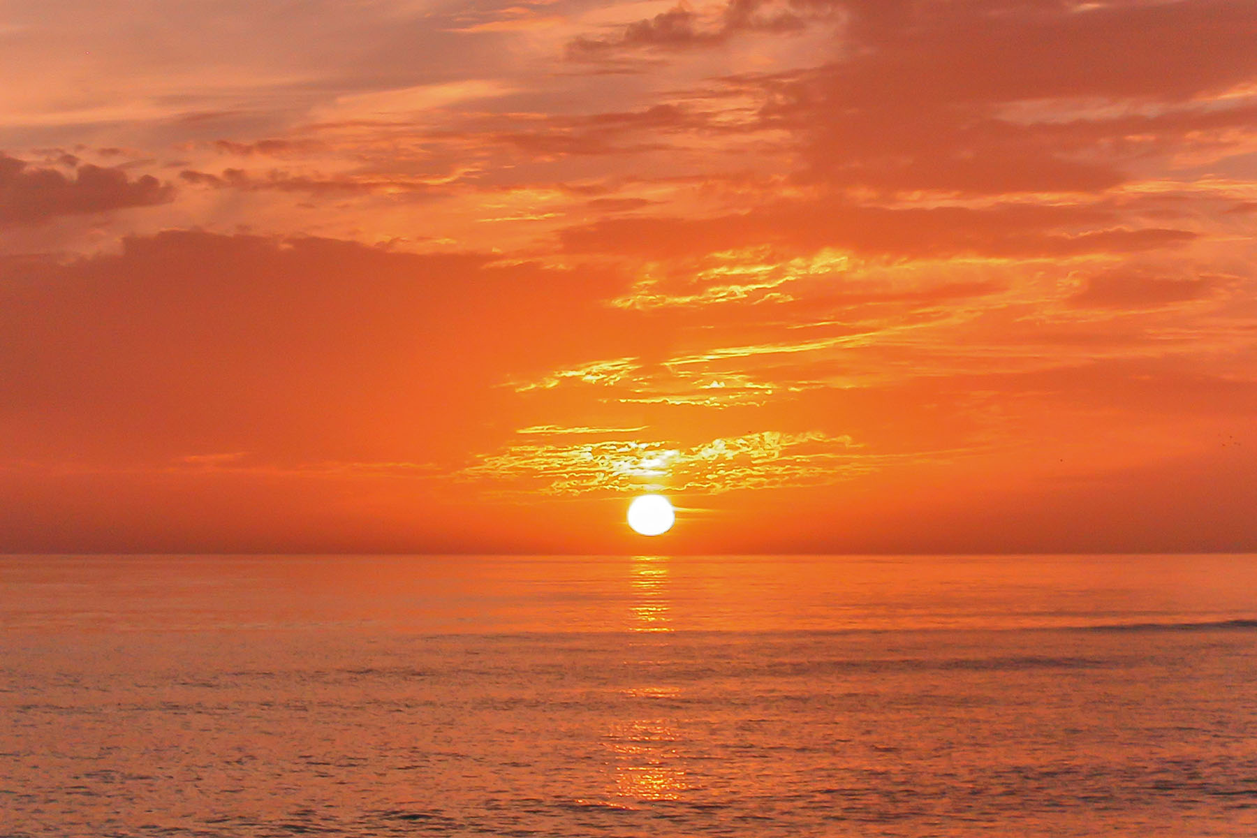  VENICE GARDENS SEC 2 - 物件實景