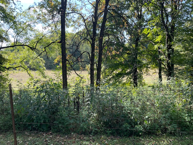 Clermont, Kentucky, 40110, United States, ,Land,For Sale,1980542