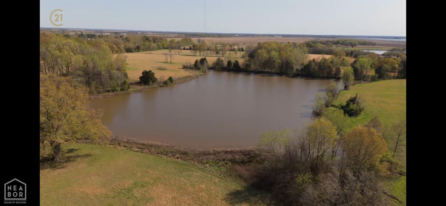 Jonesboro, Arkansas, 72401, United States, ,Residential,For Sale,1975626