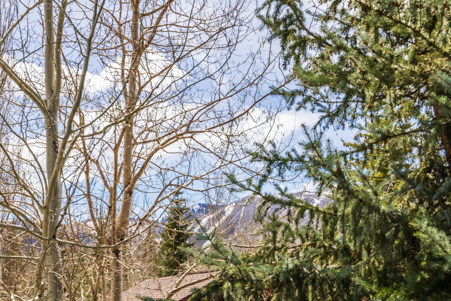  Refined Park Meadows Corner Residence with Ski Run Views & Designer Renovations - 物件實景