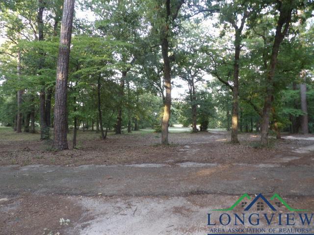 912 CR 3920, Hawkins, Texas, 75765, United States, 4 Bedrooms Bedrooms, ,3 BathroomsBathrooms,Residential,For Sale,912 CR 3920,1629044