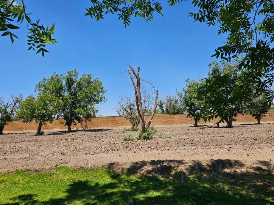 Torreón, Coahuila de Zaragoza, 27105, Mexico, 1 Bedroom Bedrooms, ,Residential,For Sale,1820197