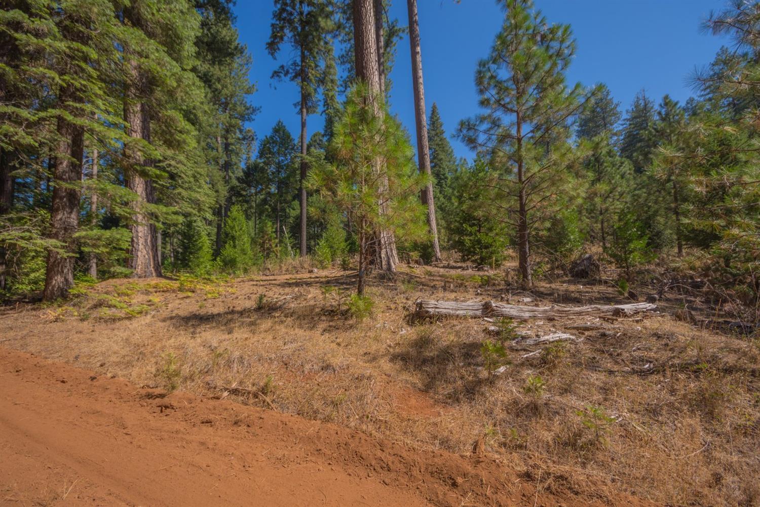 Pollock Pines, California, 95726, United States, ,Residential,For Sale,1982906