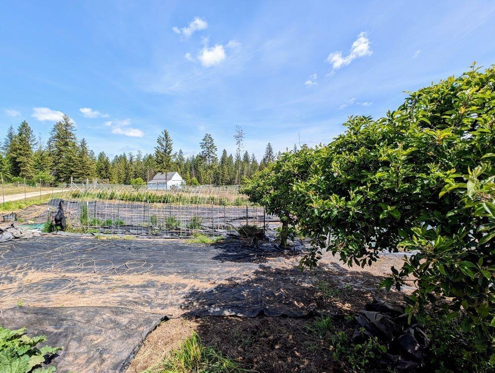 Deer Park, Washington, 99006, United States, 4 Bedrooms Bedrooms, ,3 BathroomsBathrooms,Residential,For Sale,1992007